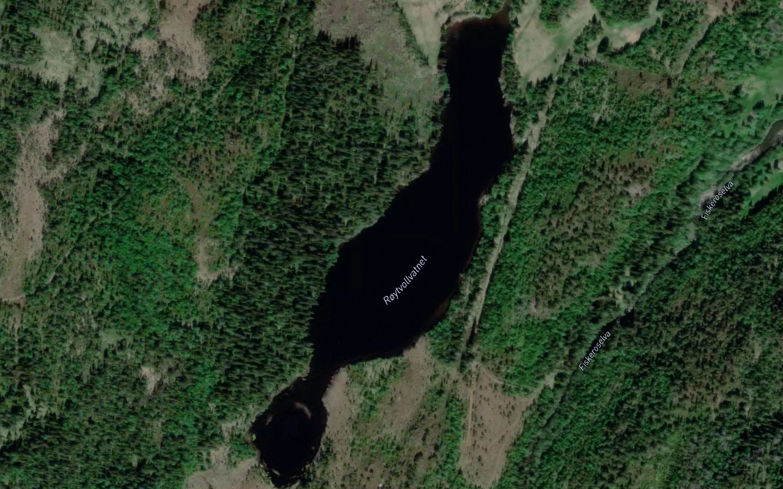 Roytvollvatnet