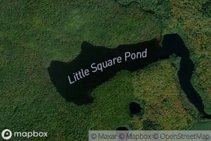 Little Square Pond
