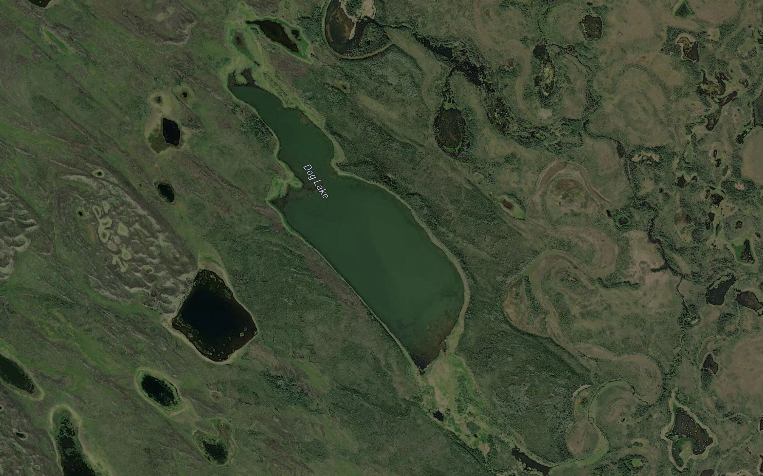 Dog Lake