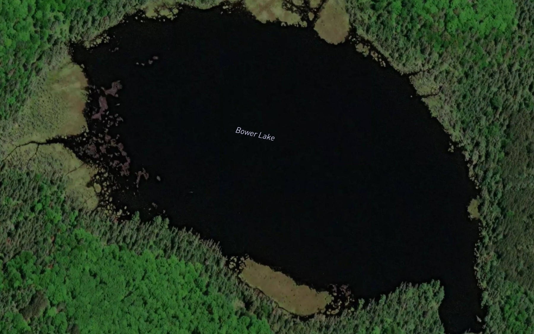 Satellite map of the Bower Lake