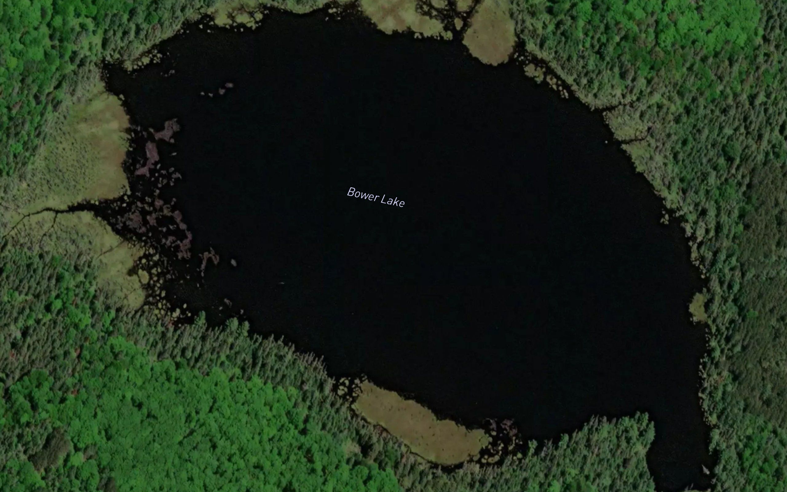 Bower Lake