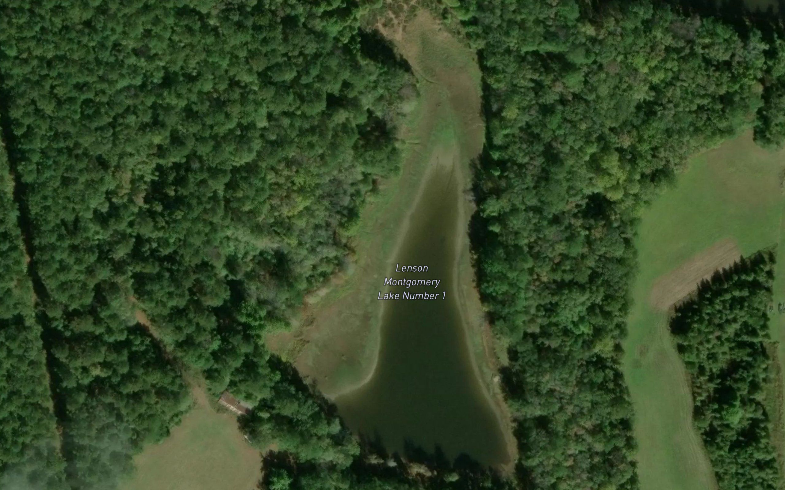 Lenson Montgomery Lake Number 1