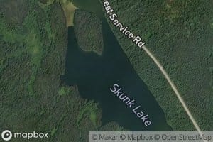 Skunk Lake