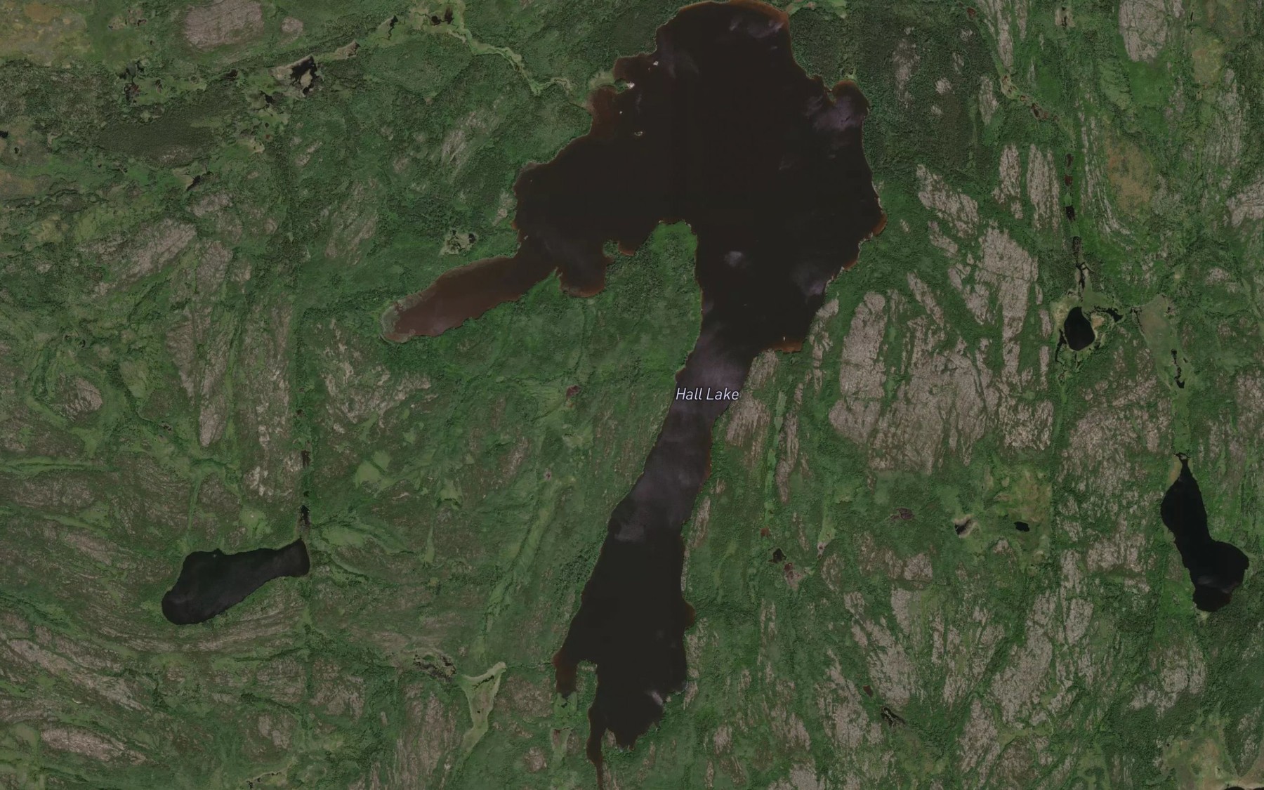 Satellite map of the Hall Lake
