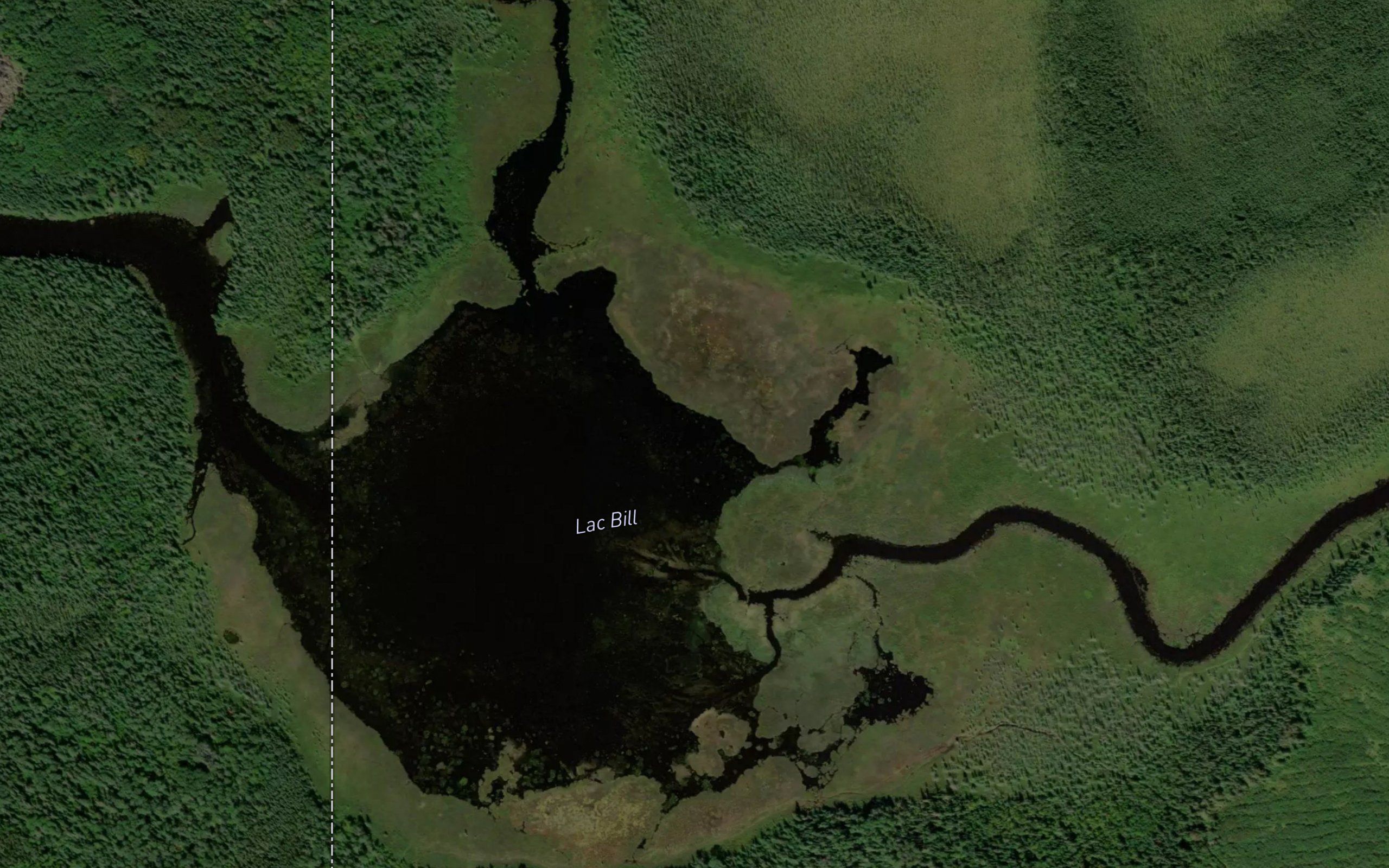 Lac Bill