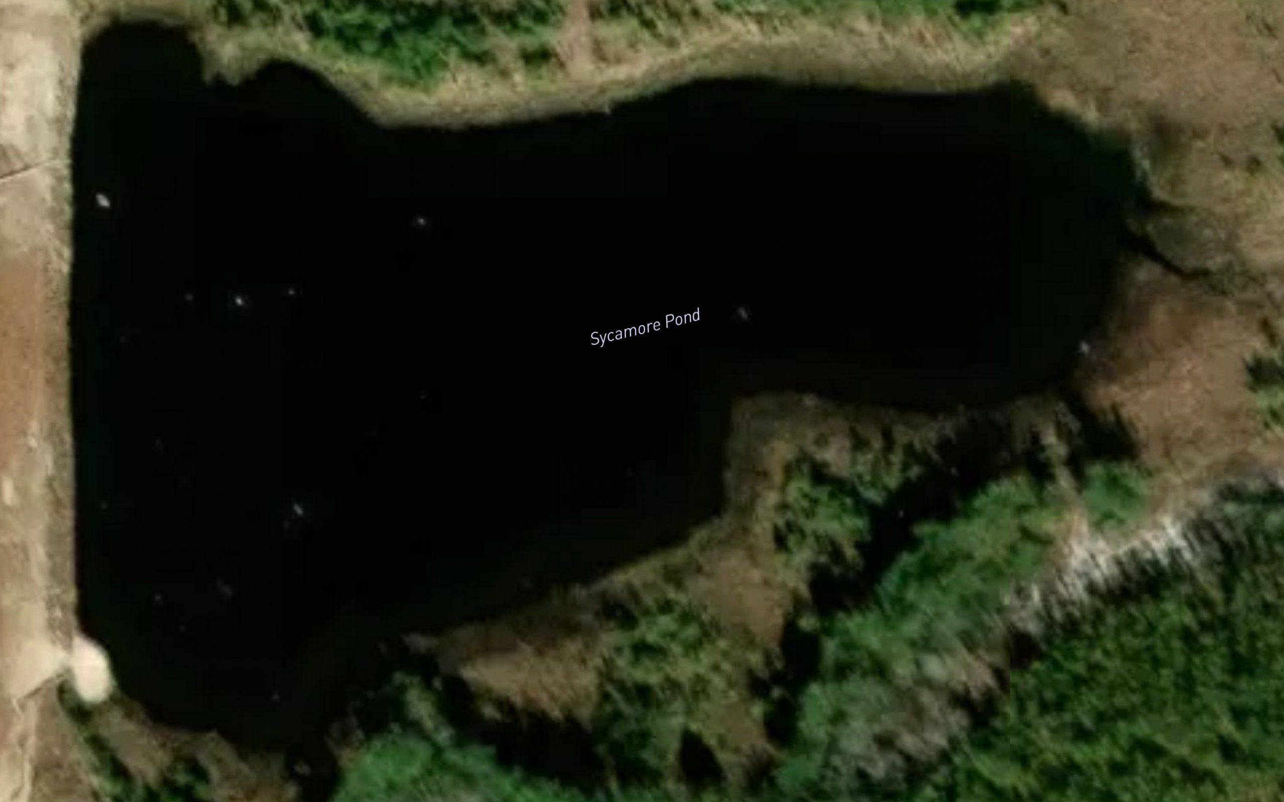 Sycamore Pond