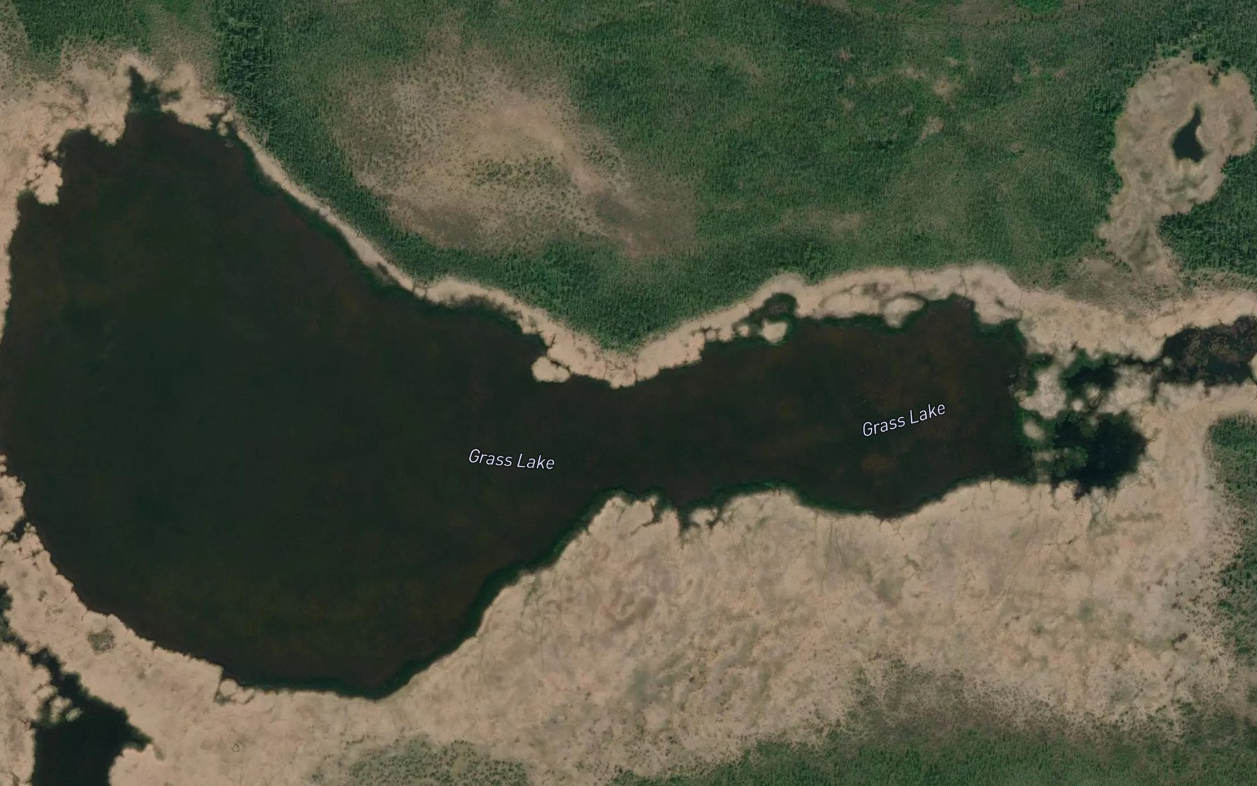 Satellite map of the Grass Lake