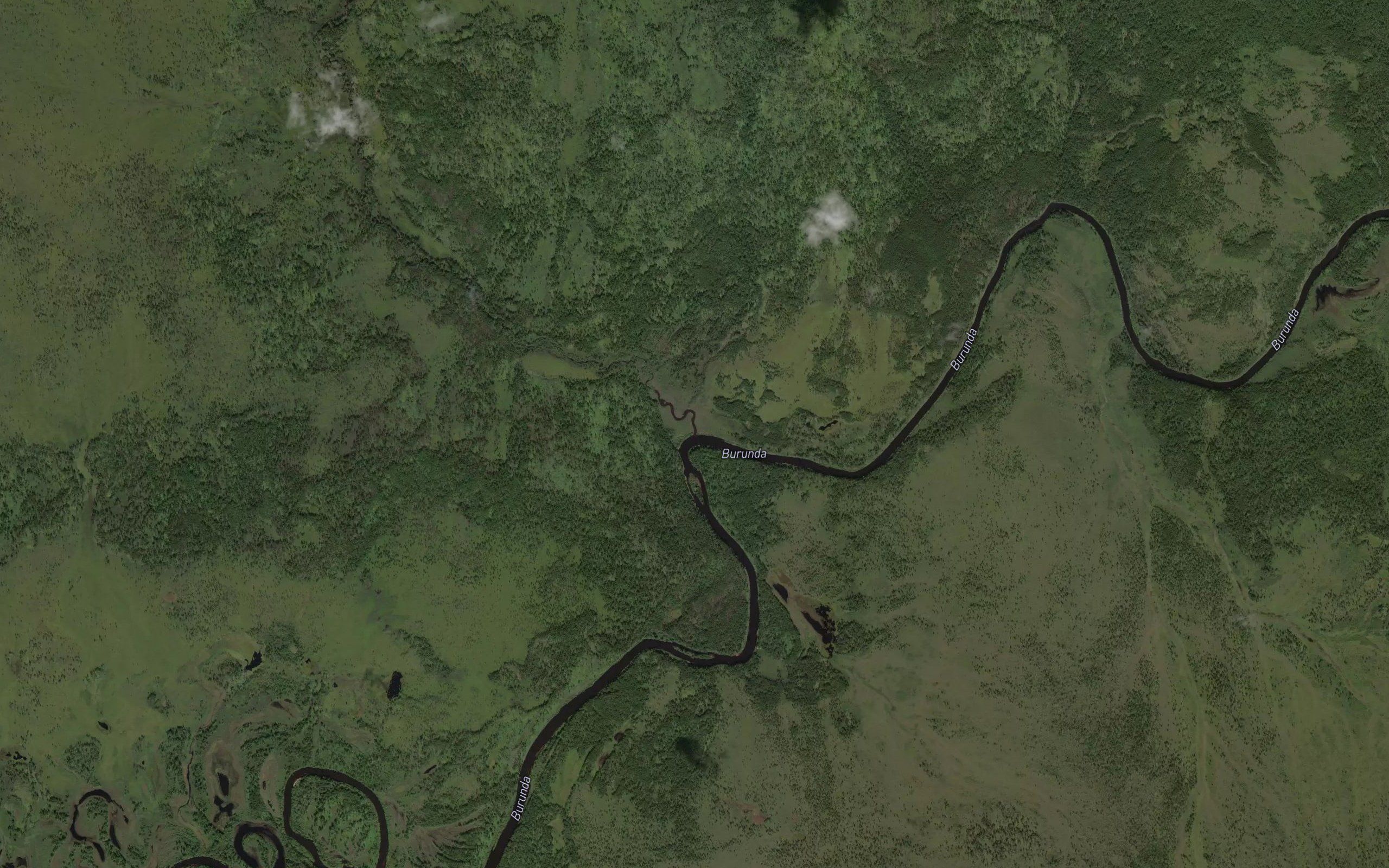 Korolikha