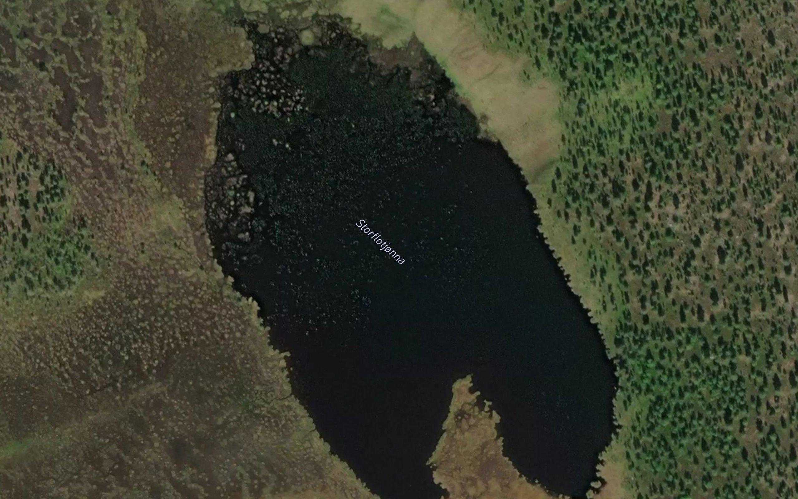 Storflotjorna