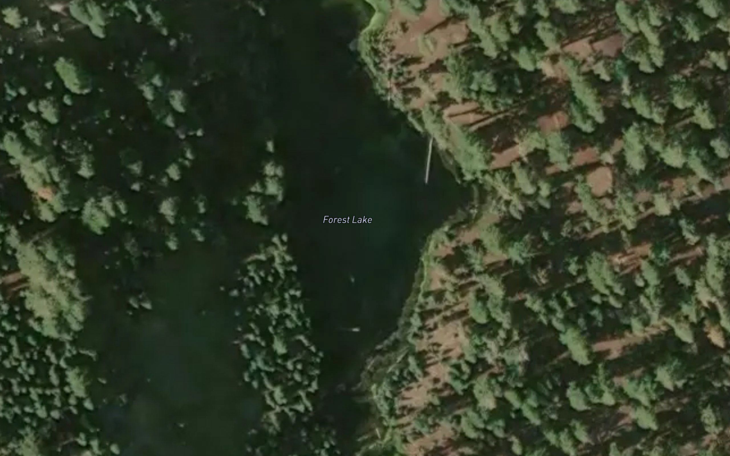 Forest Lake