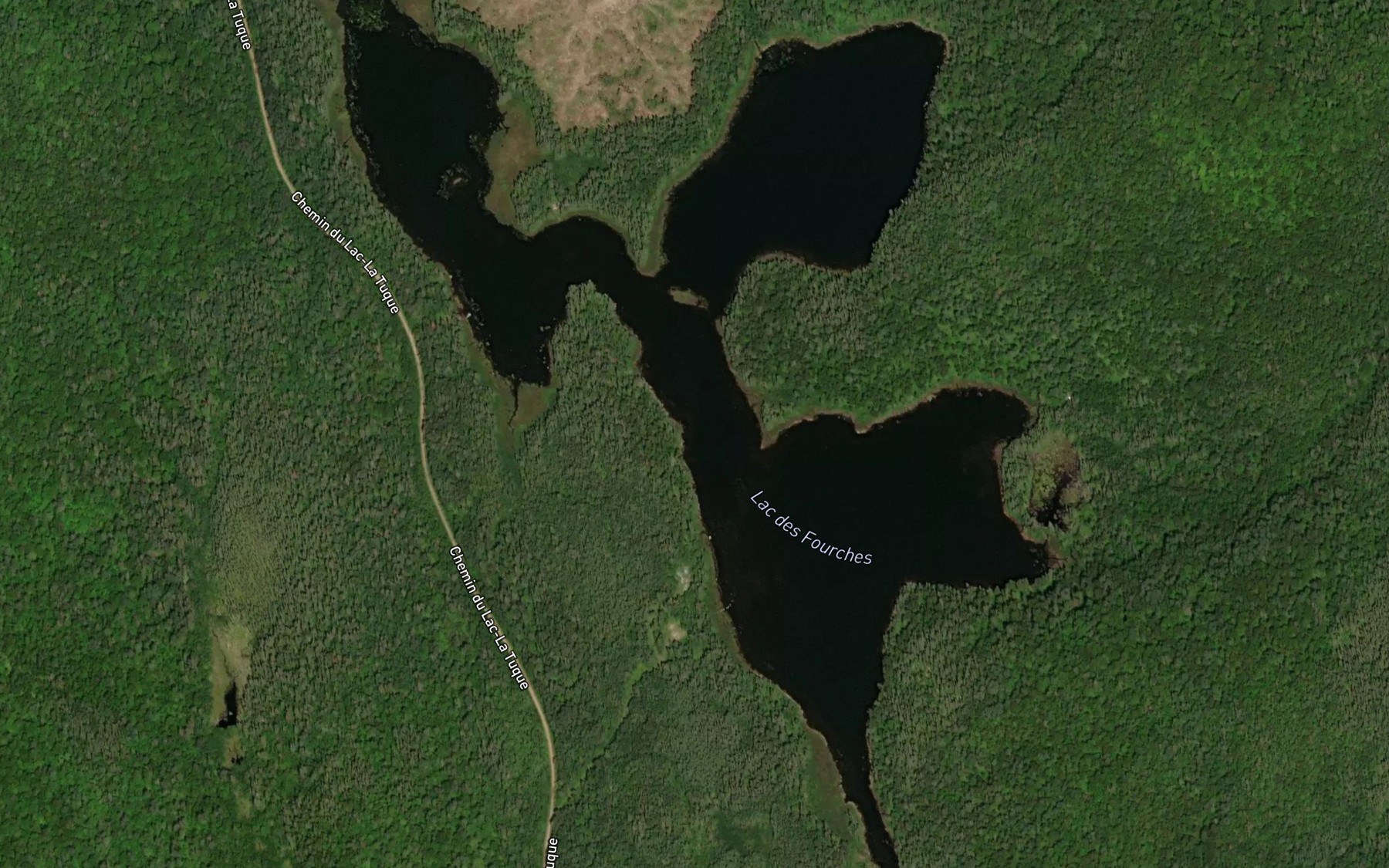 Satellite map of the Lac des Fourches