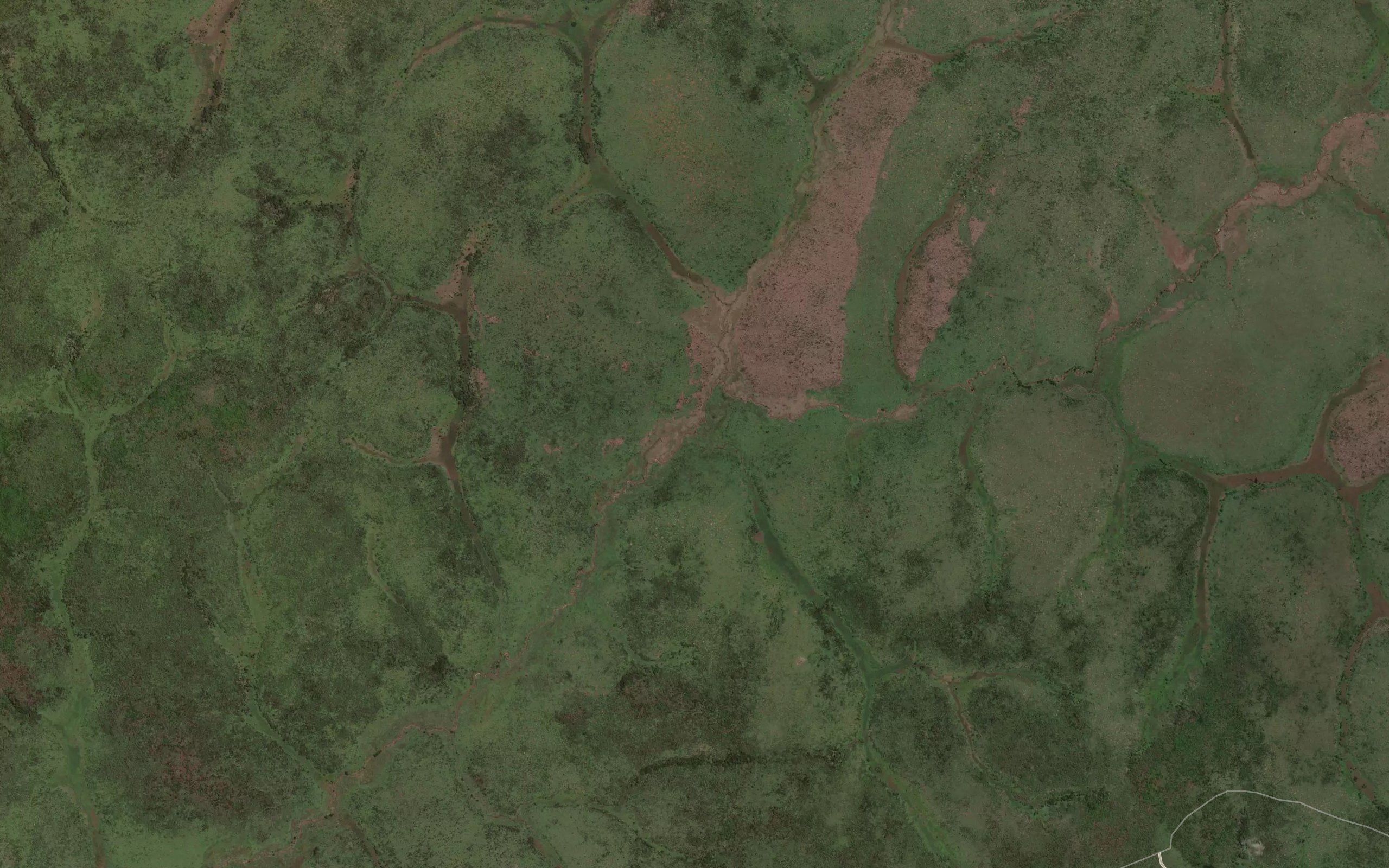 Nangbunguru