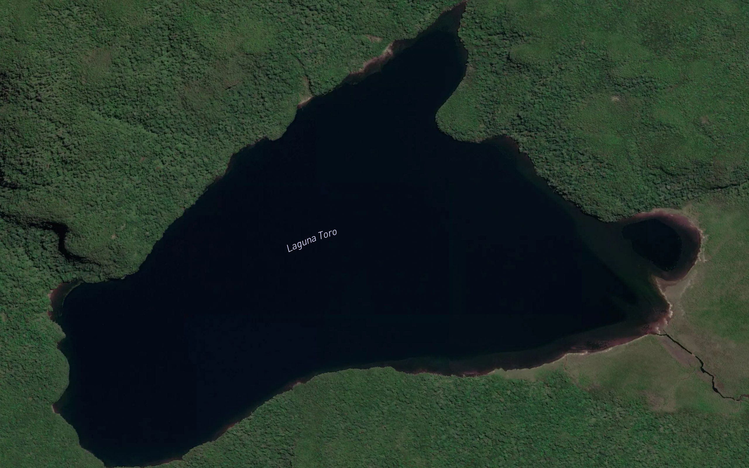 Laguna Toro
