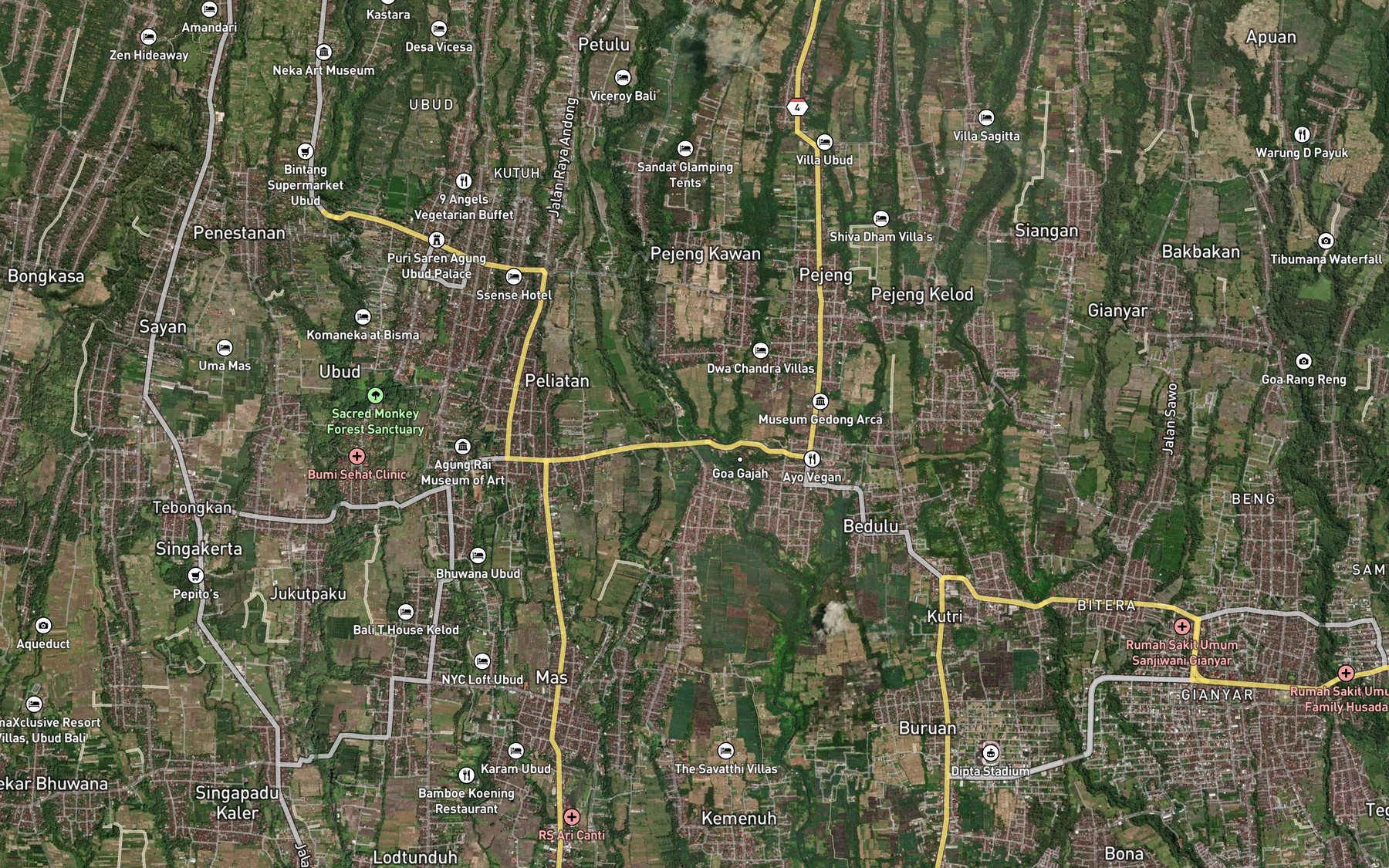Satellite map of the Tukad Petanu