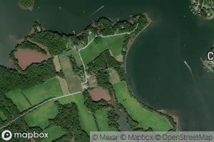 Pig Pond