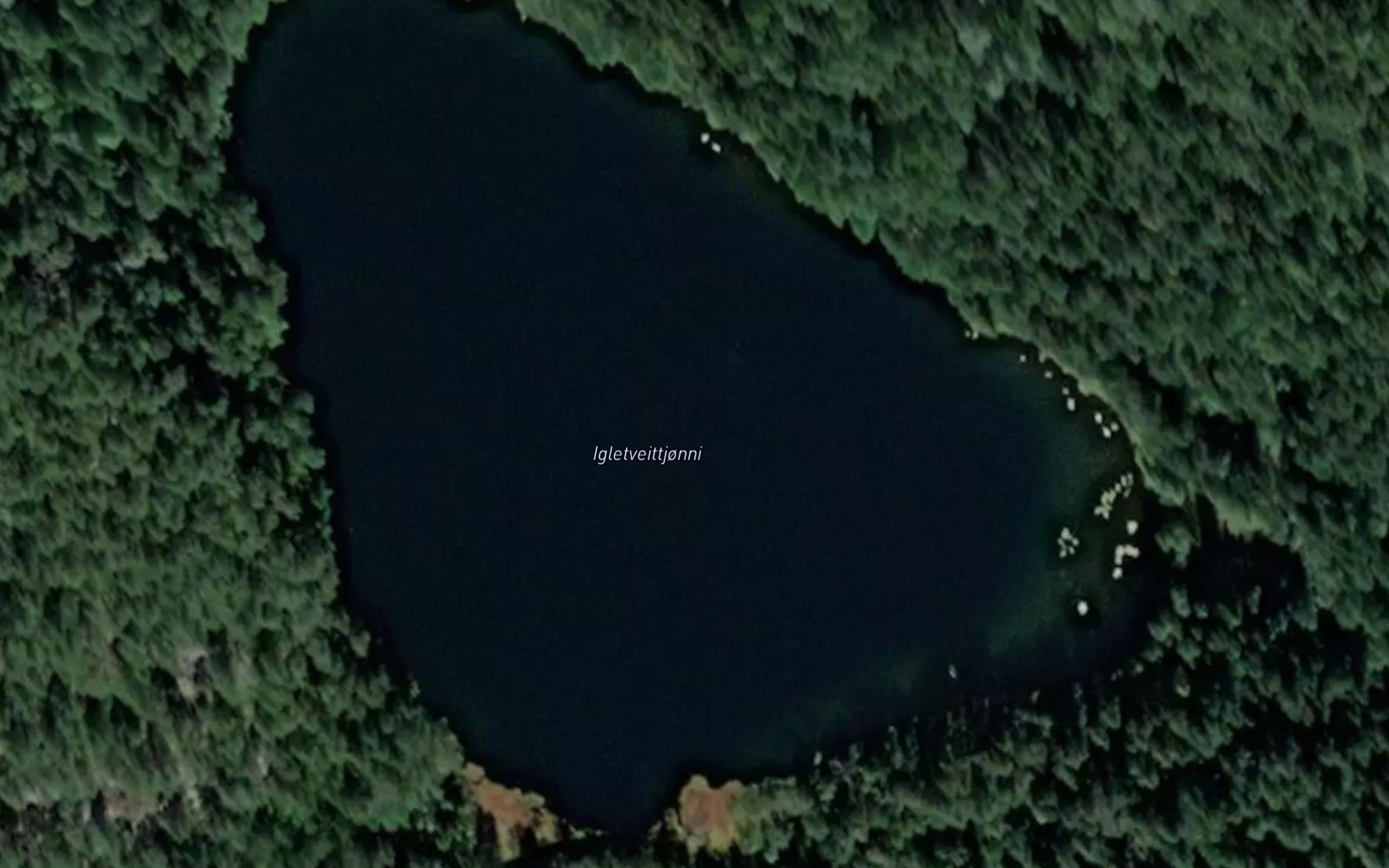 Igletveittjorni