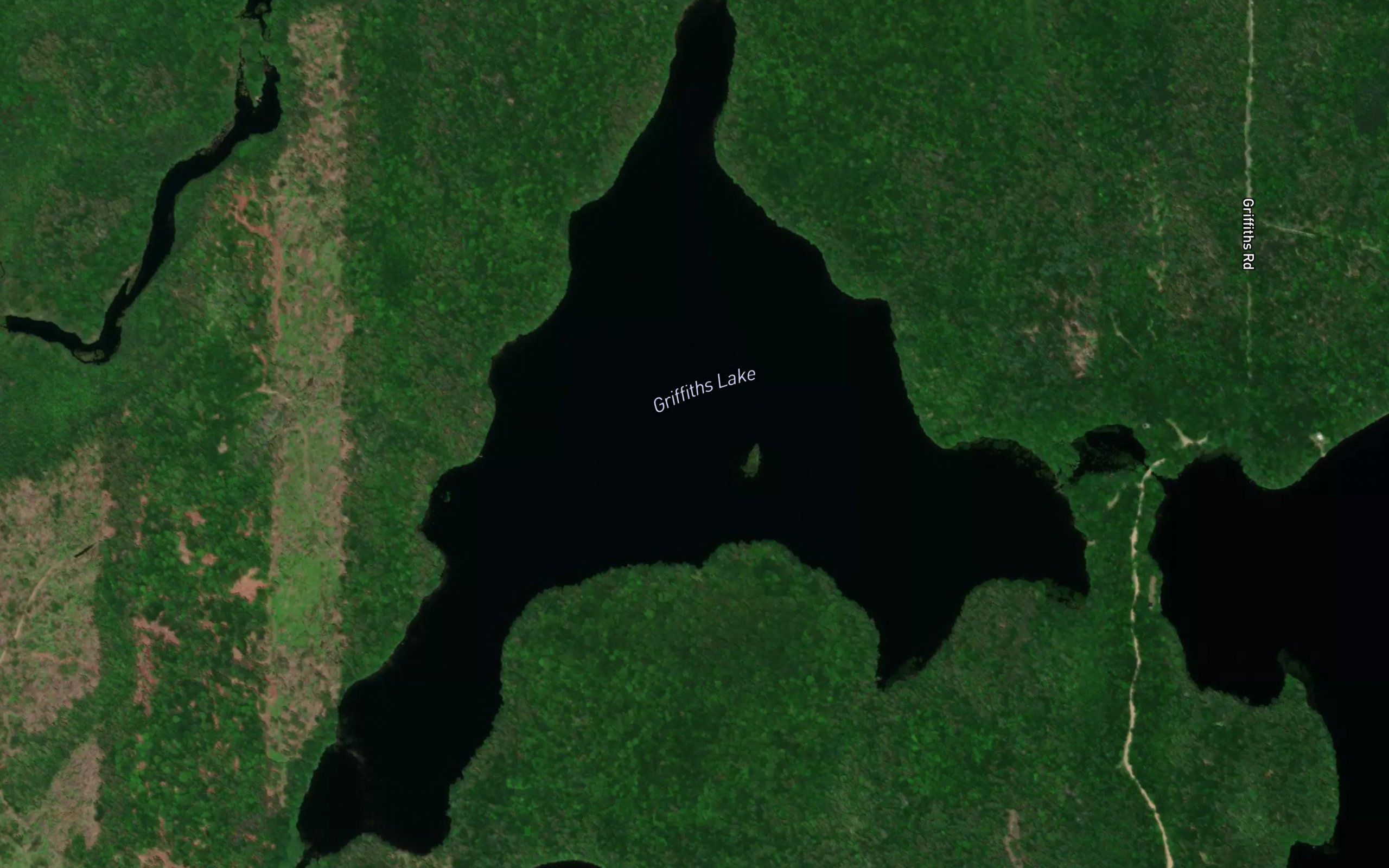 Griffiths Lake