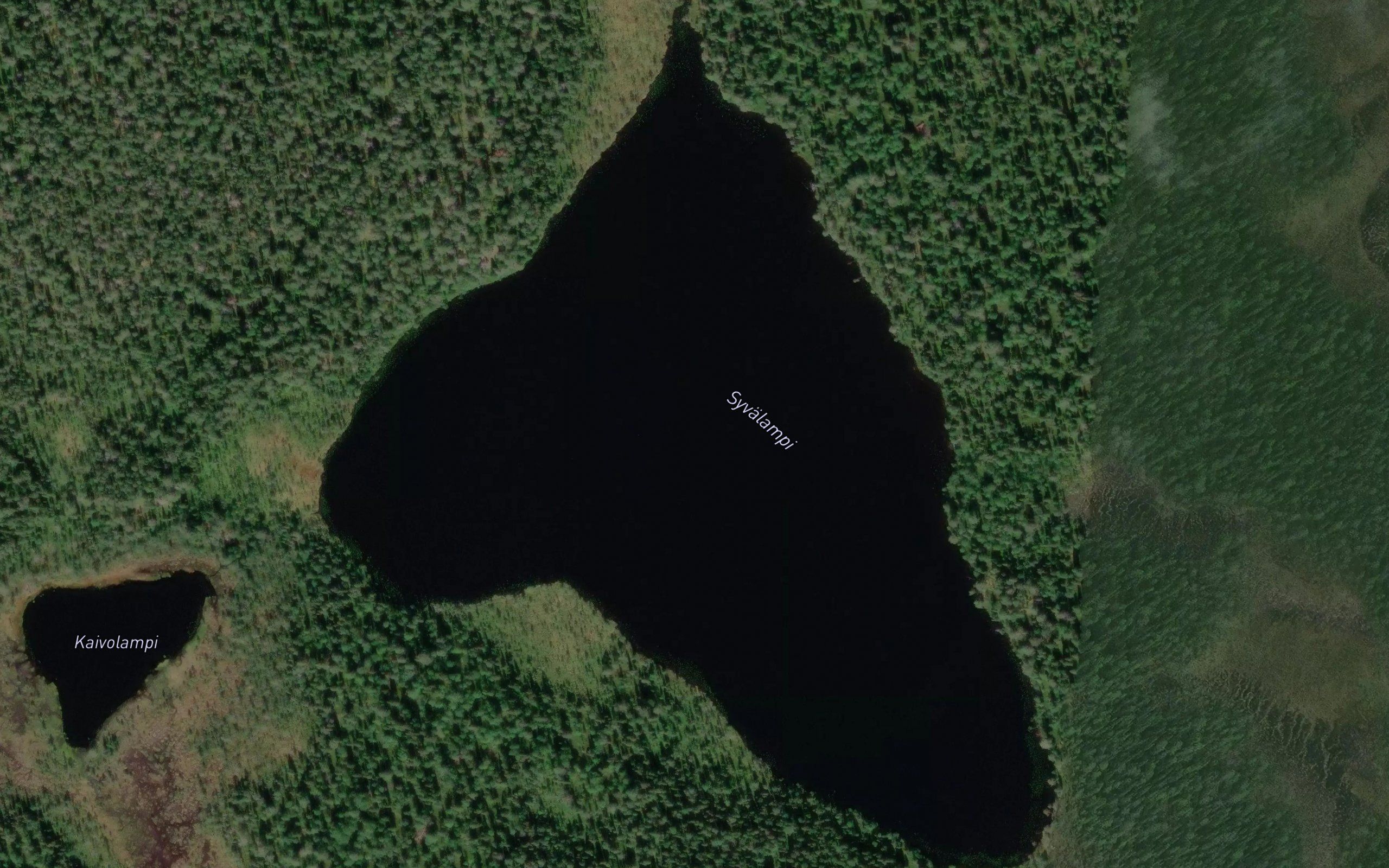 Syvalampi