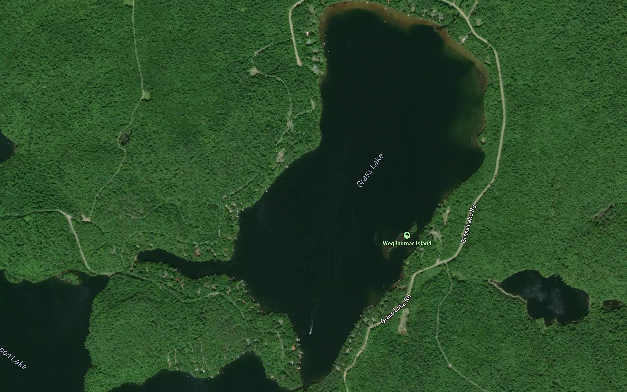 Grass Lake
