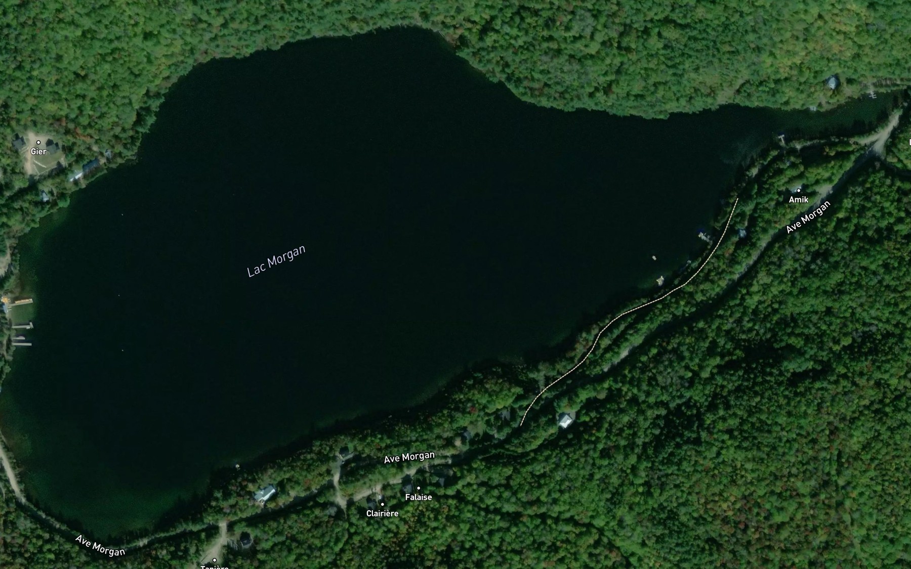 Satellite map of the Lac Morgan