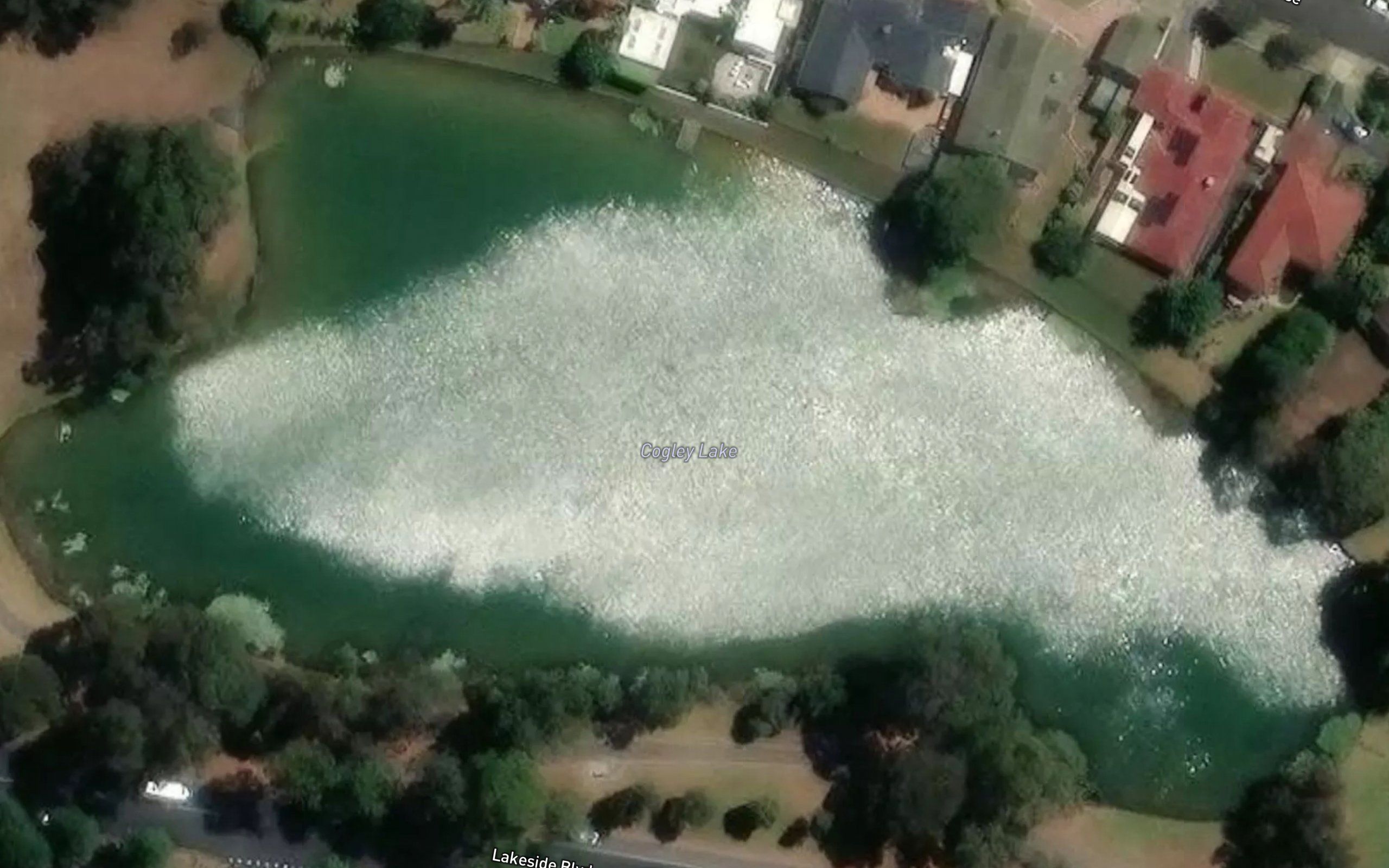 Cogley Lake