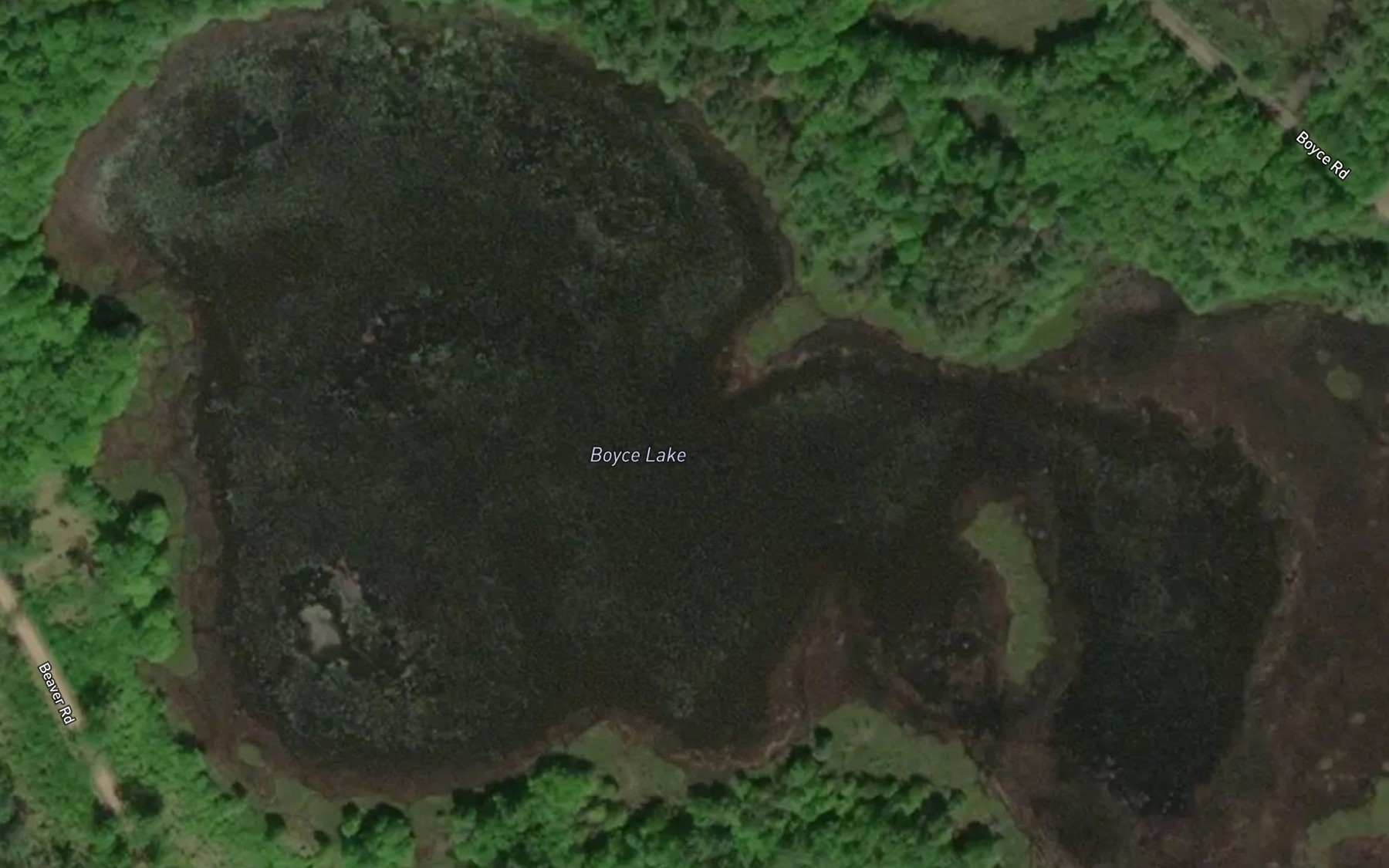 Satellite map of the Boyce Lake