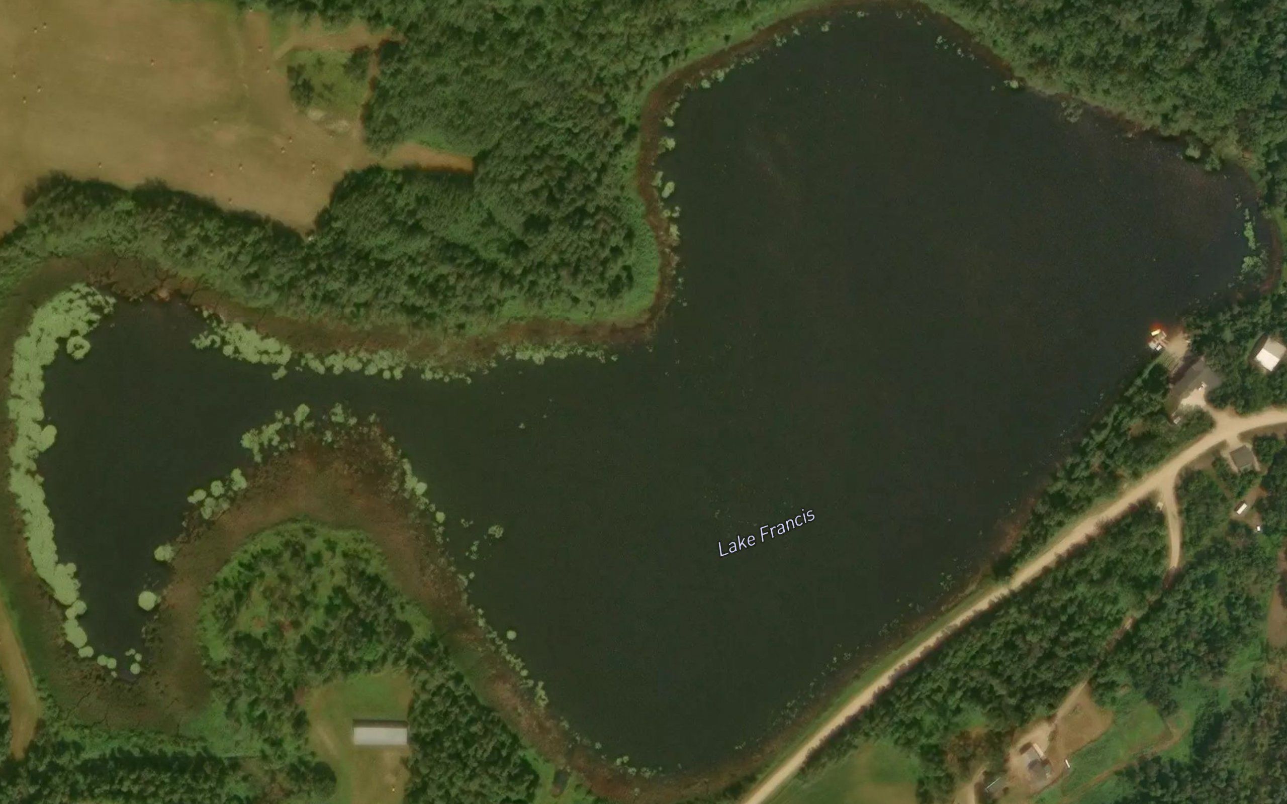Lake Francis