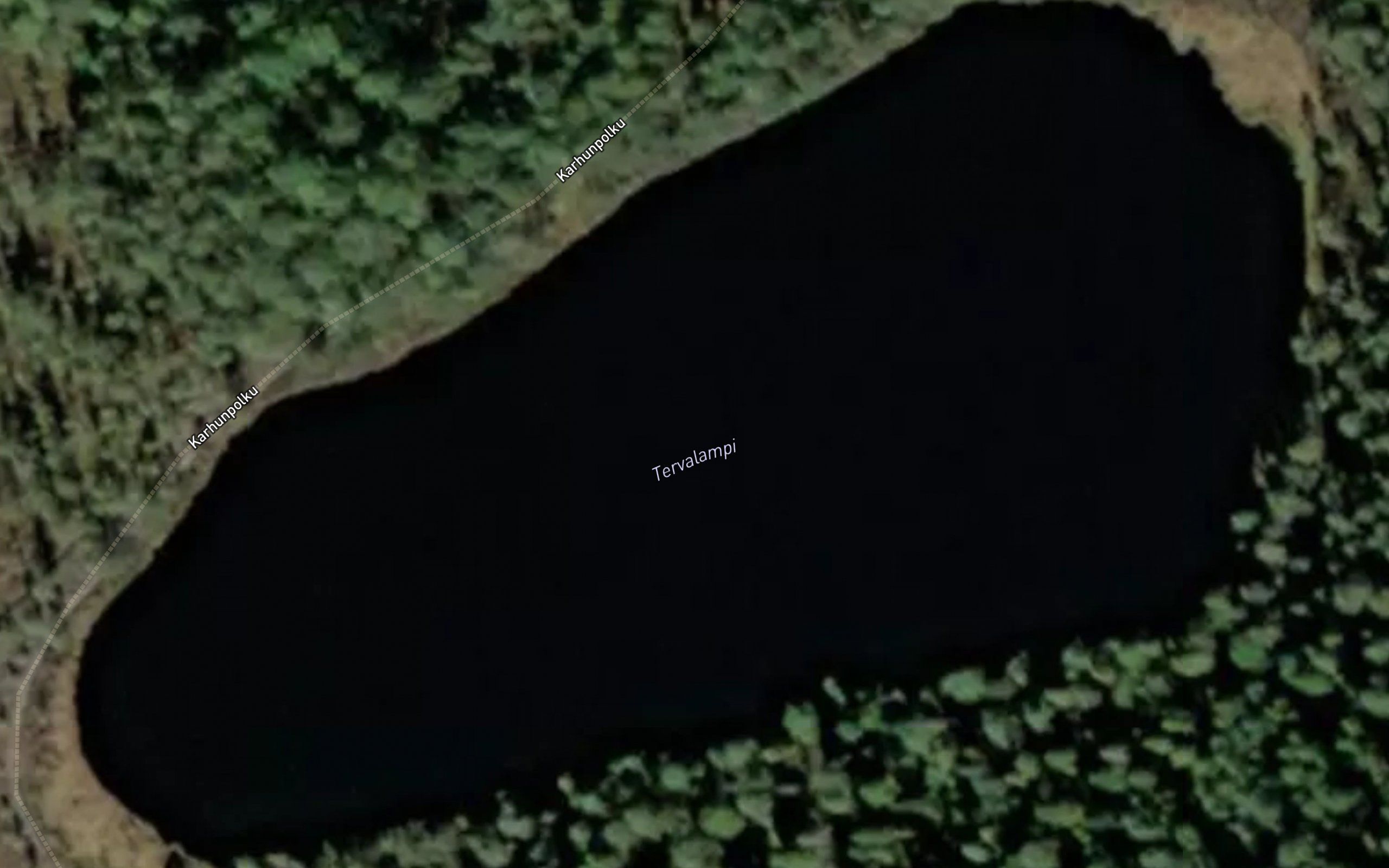 Tervalampi