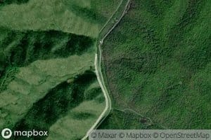 Long Fork
