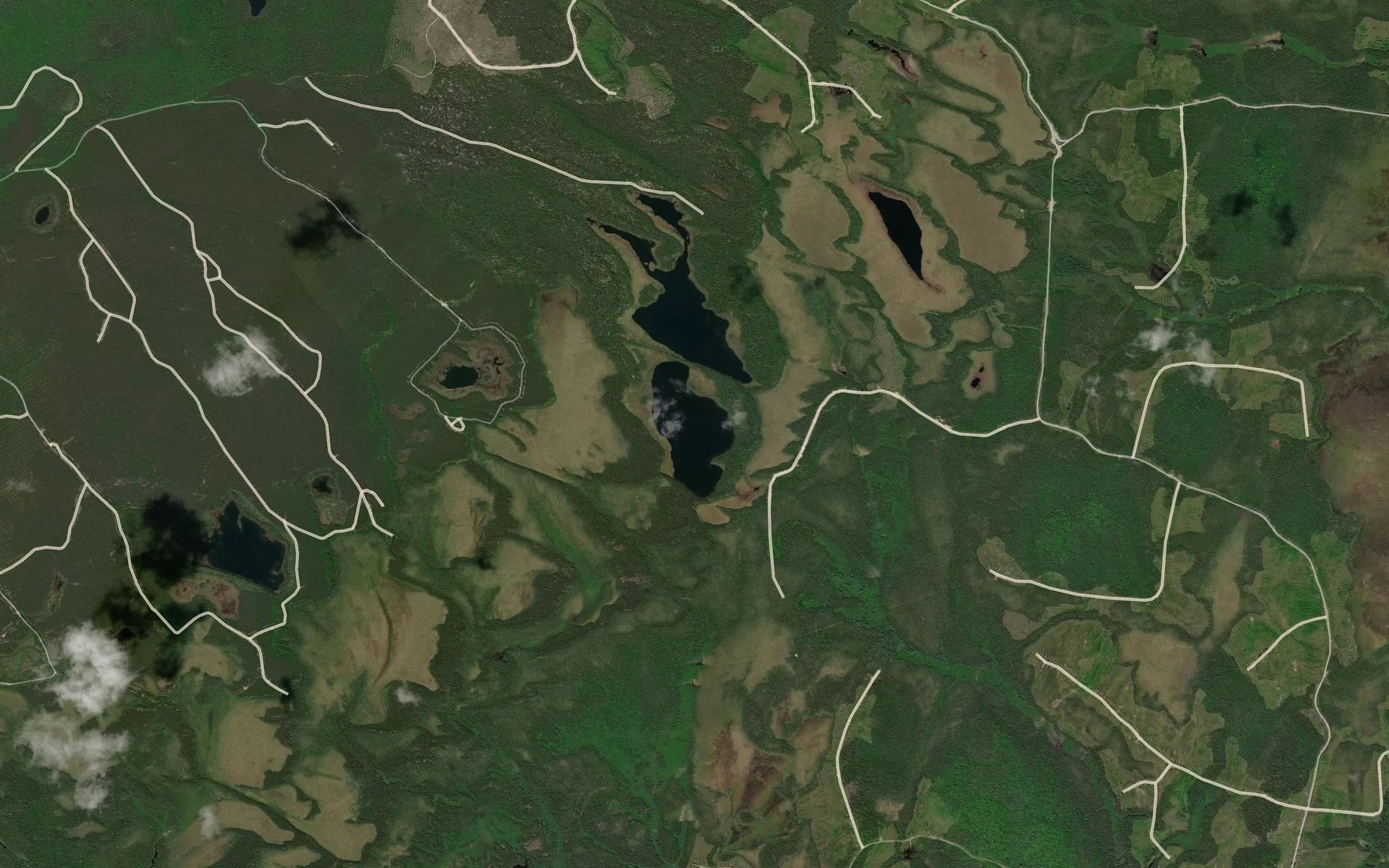 Satellite map of the Lac Riley