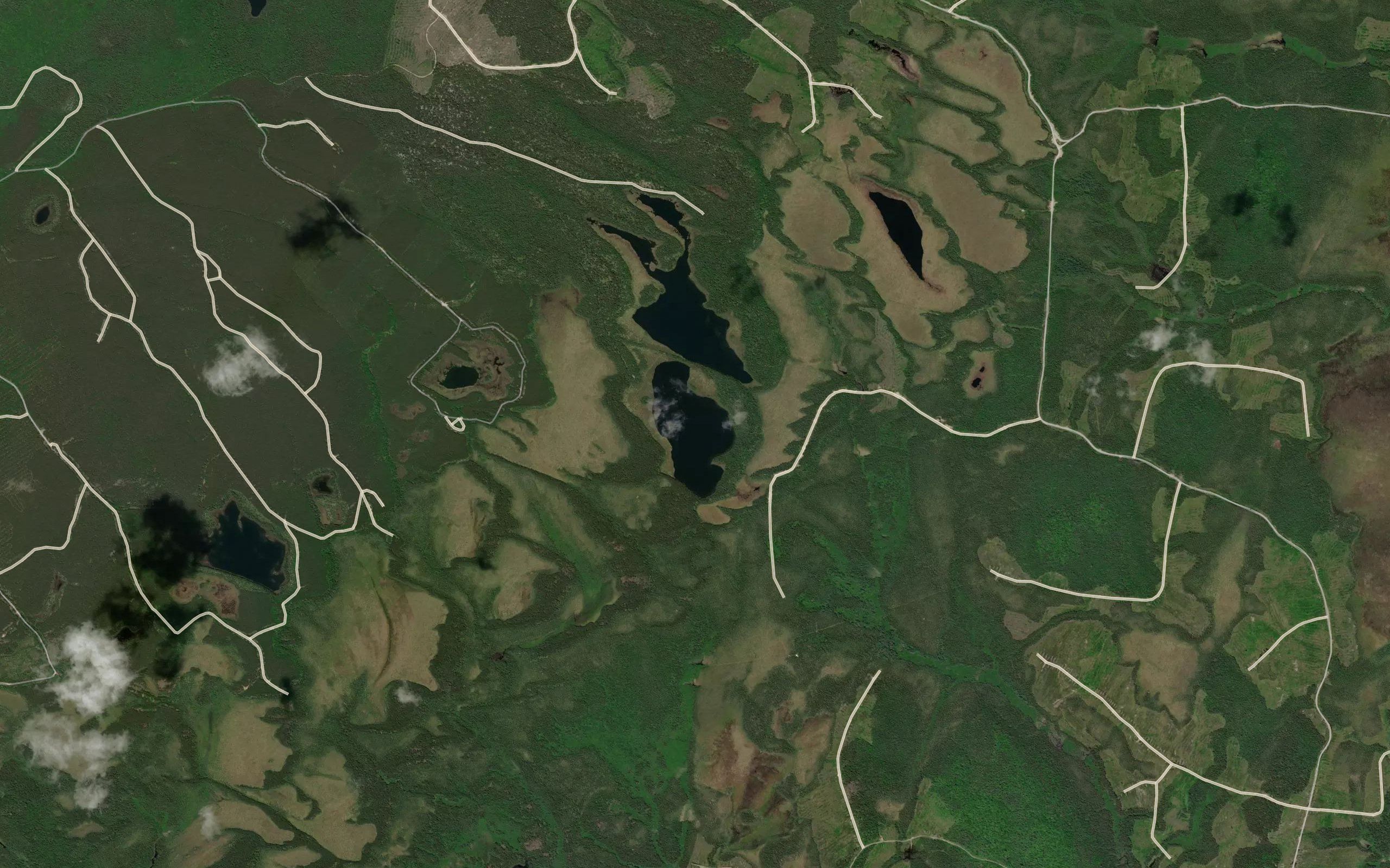 Lac Riley