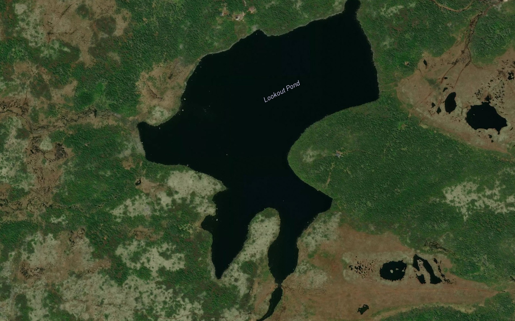 Satellite map of the Lookout Pond