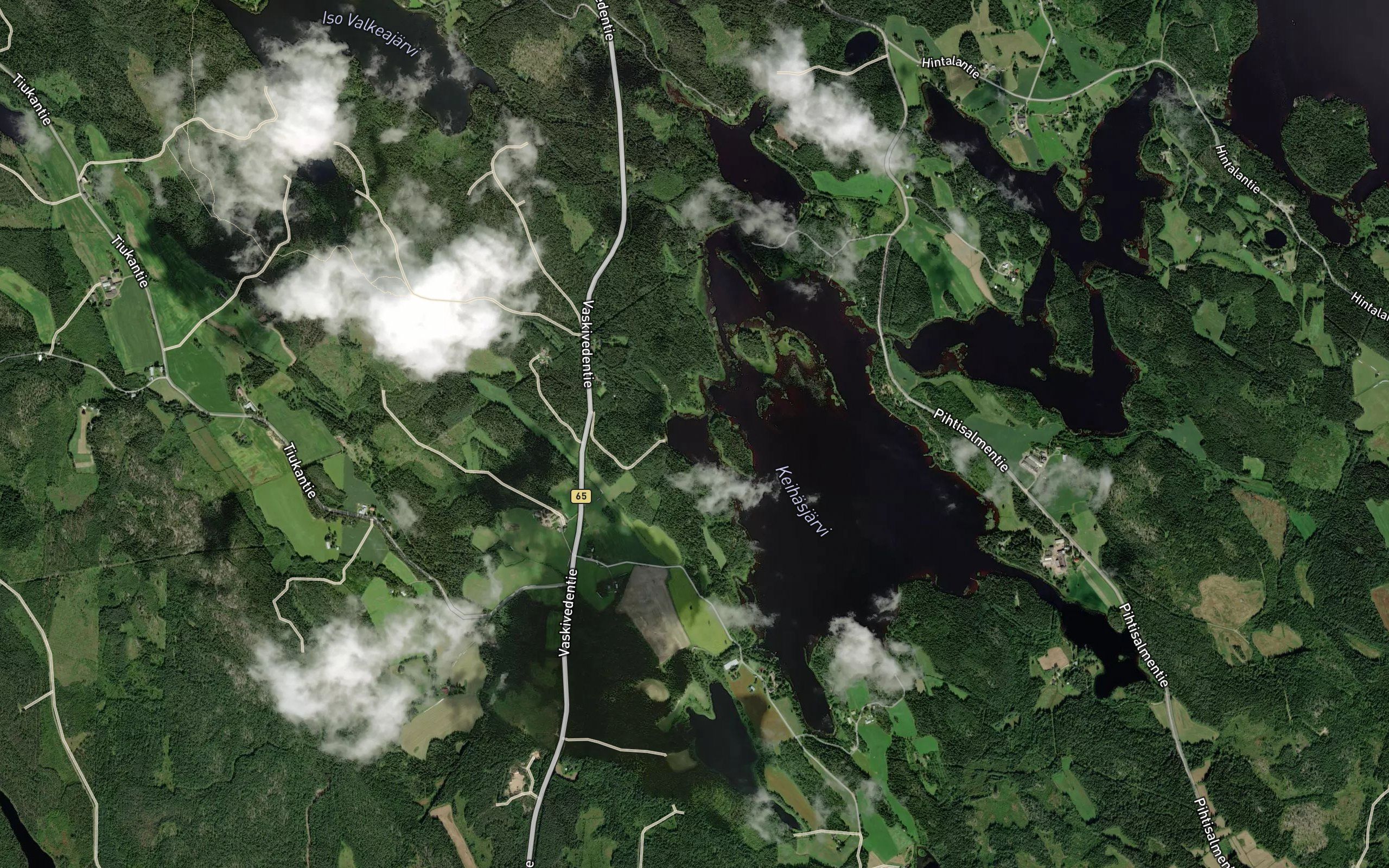 Sammakkolahti