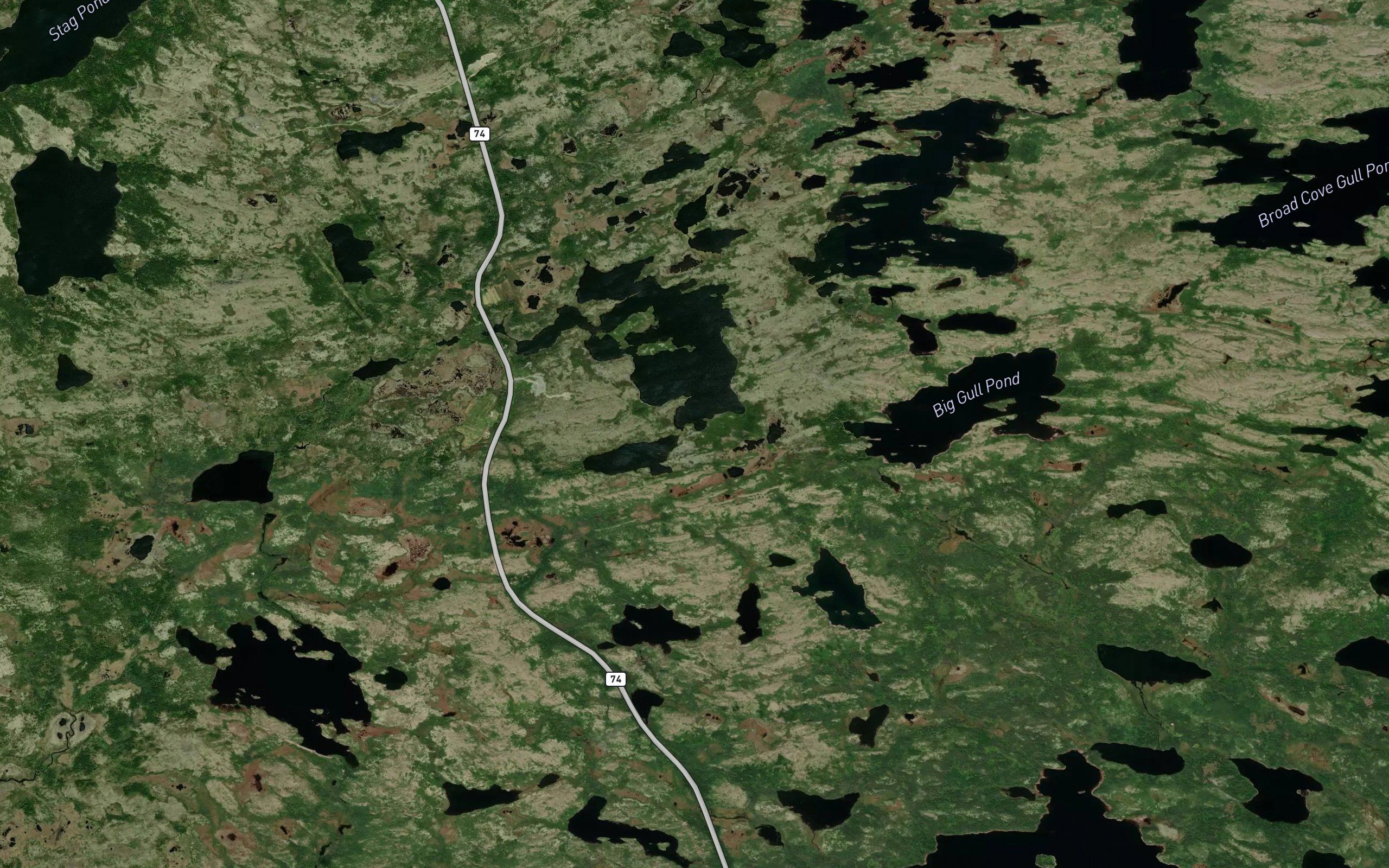 Monument Pond Brook