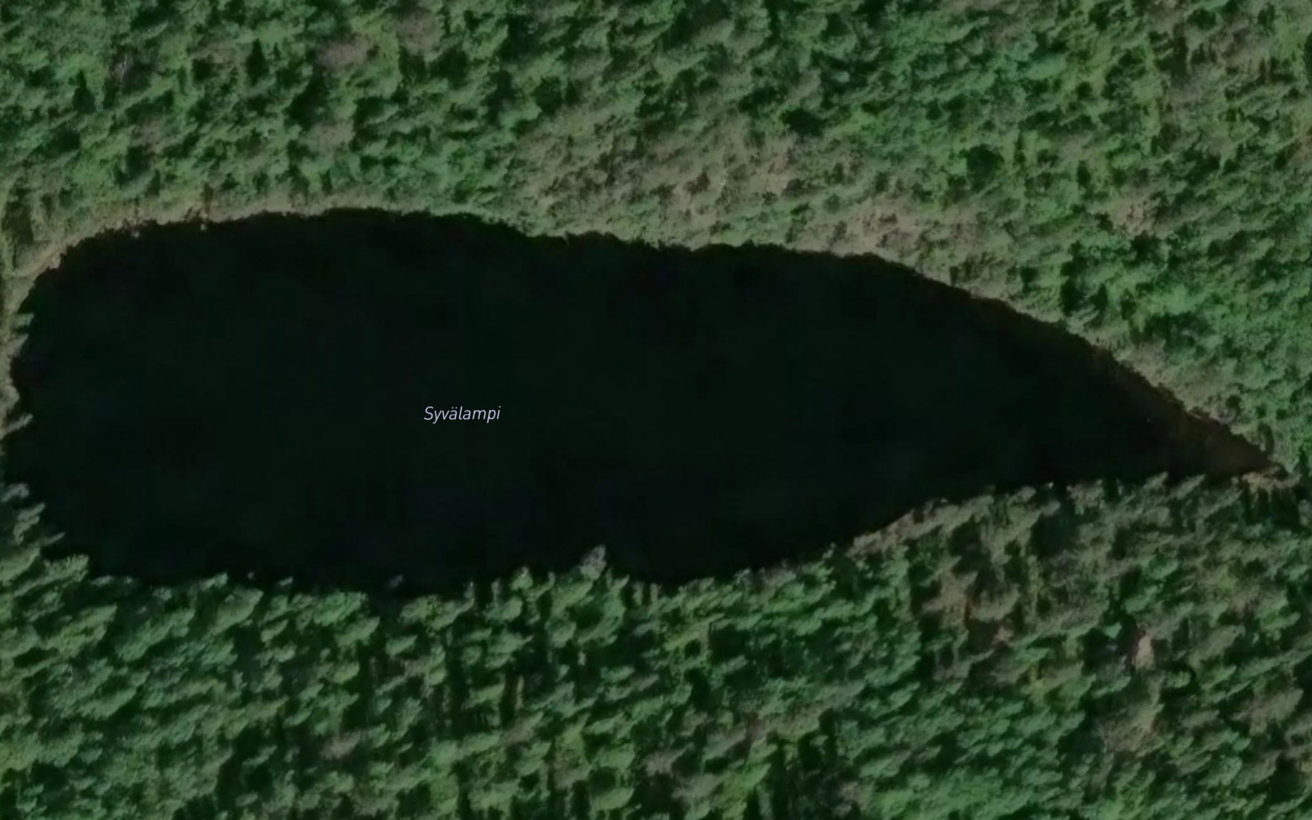 Syvalampi