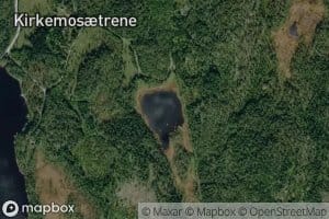 Svarttjennet