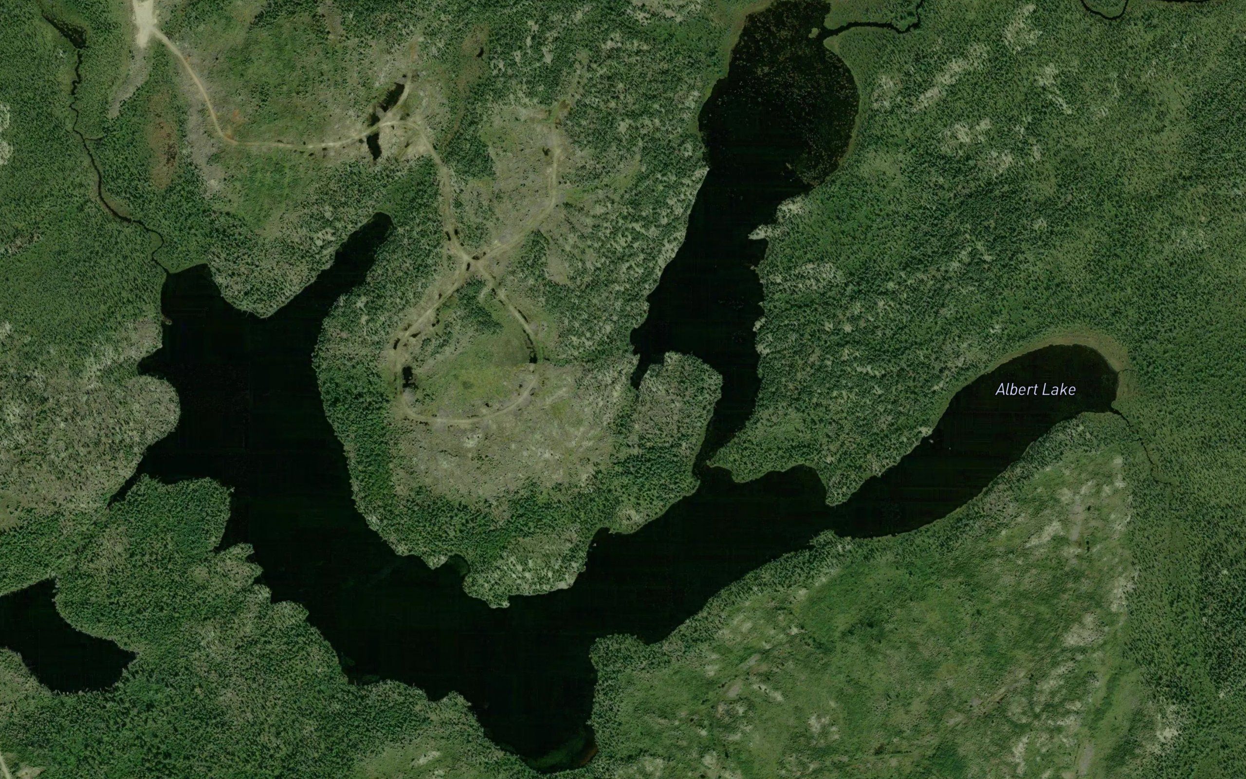 Albert Lake