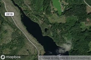 Bikkjetjennet