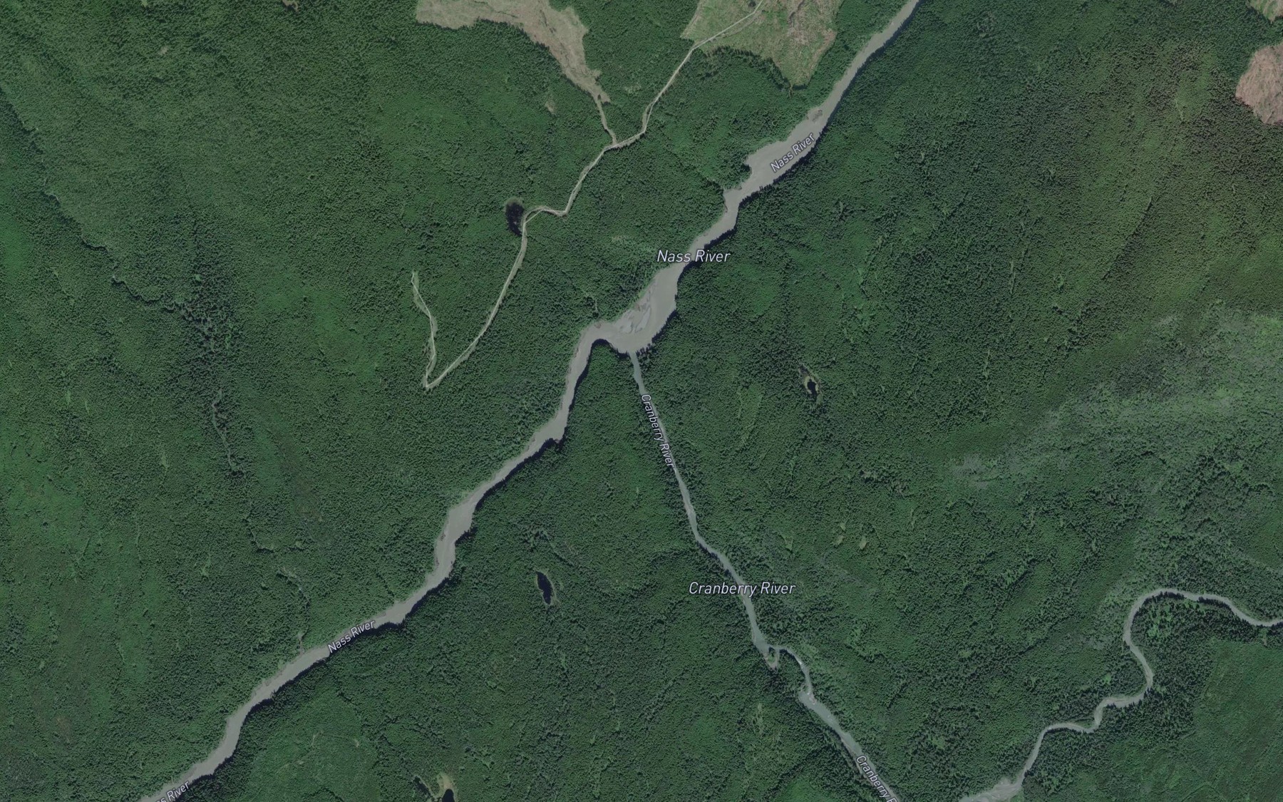 Satellite map of the Cranberry River