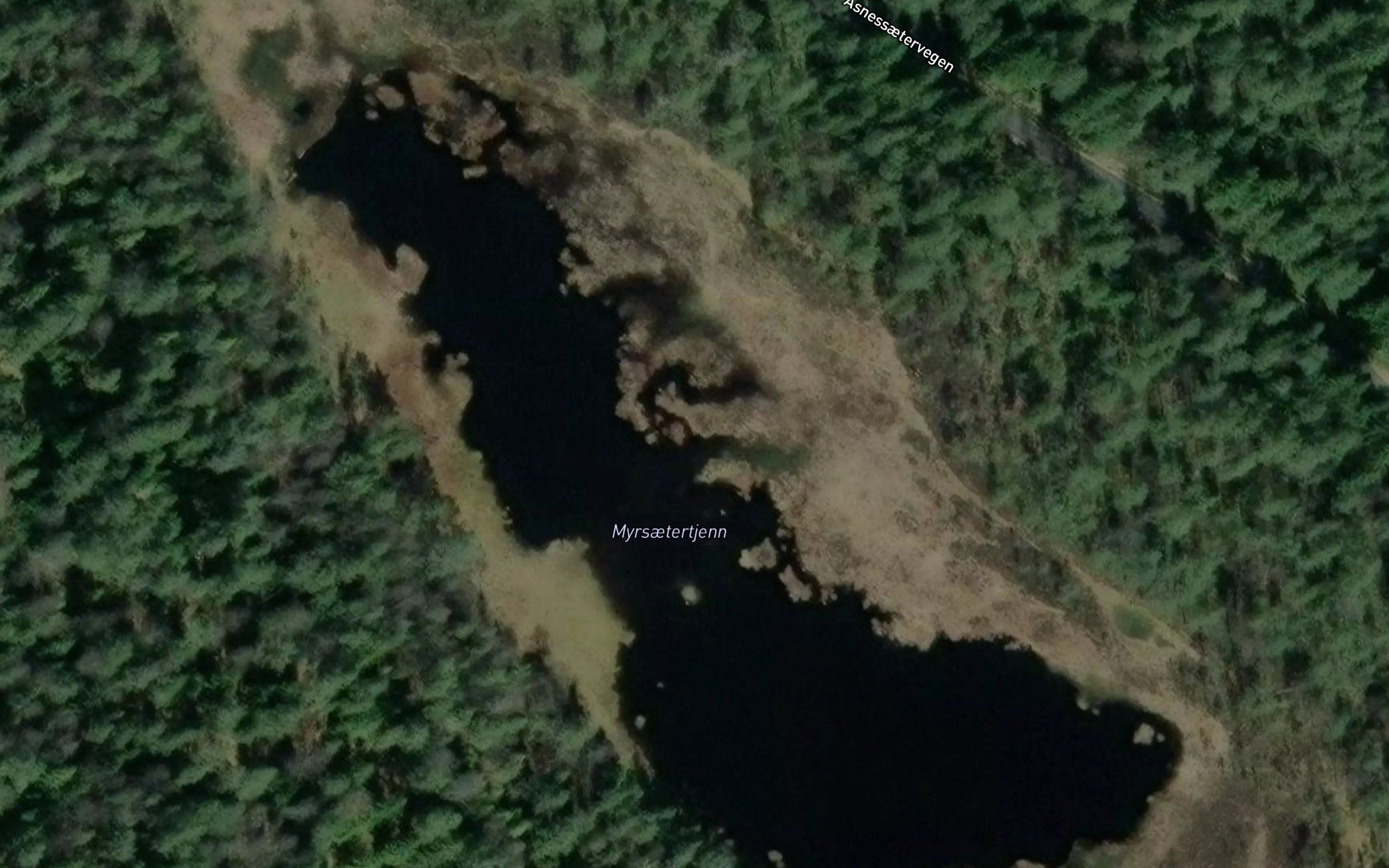 Myrsaetertjern