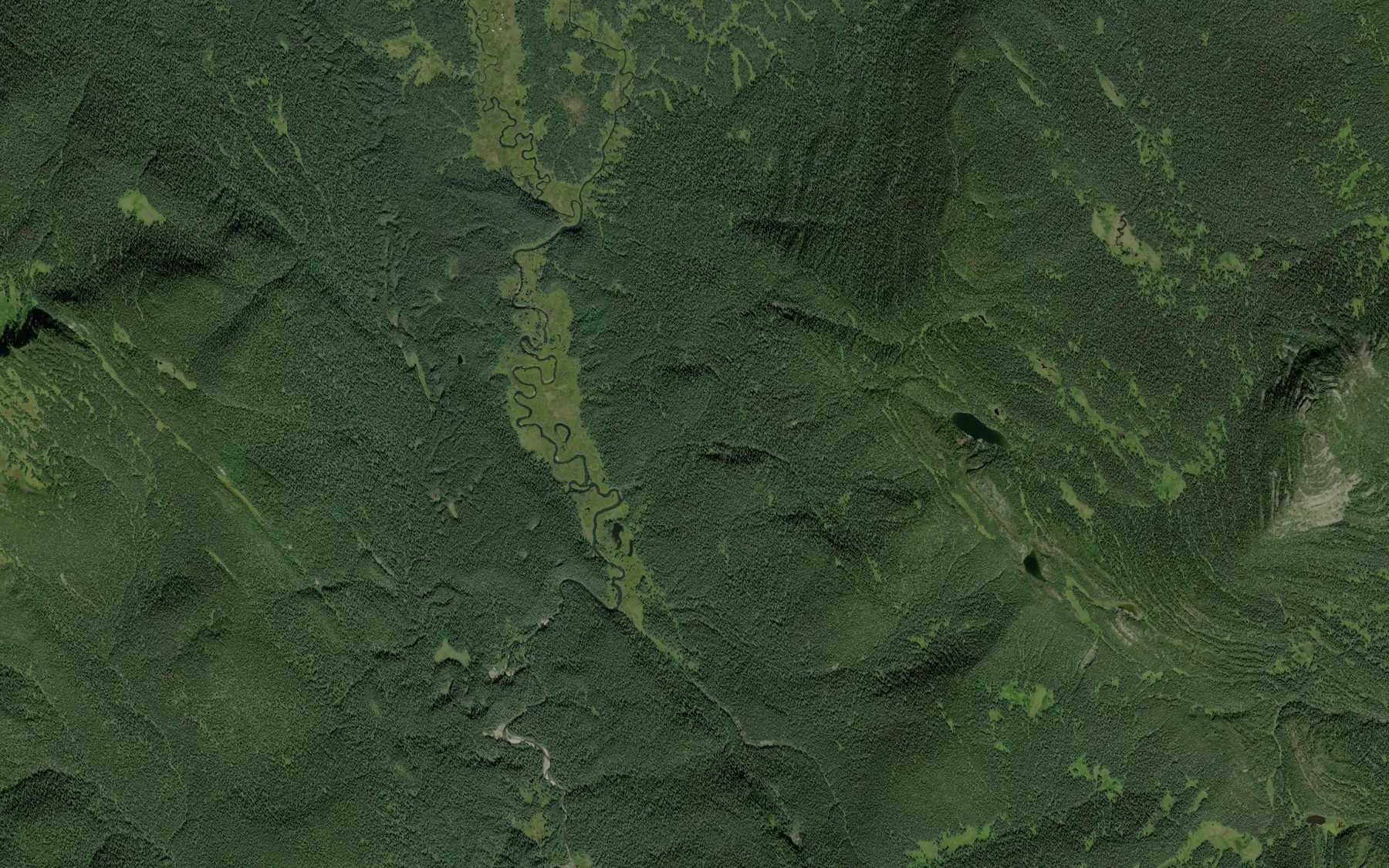 Satellite map of the McNairn Creek