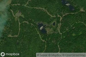 Lac Lynx