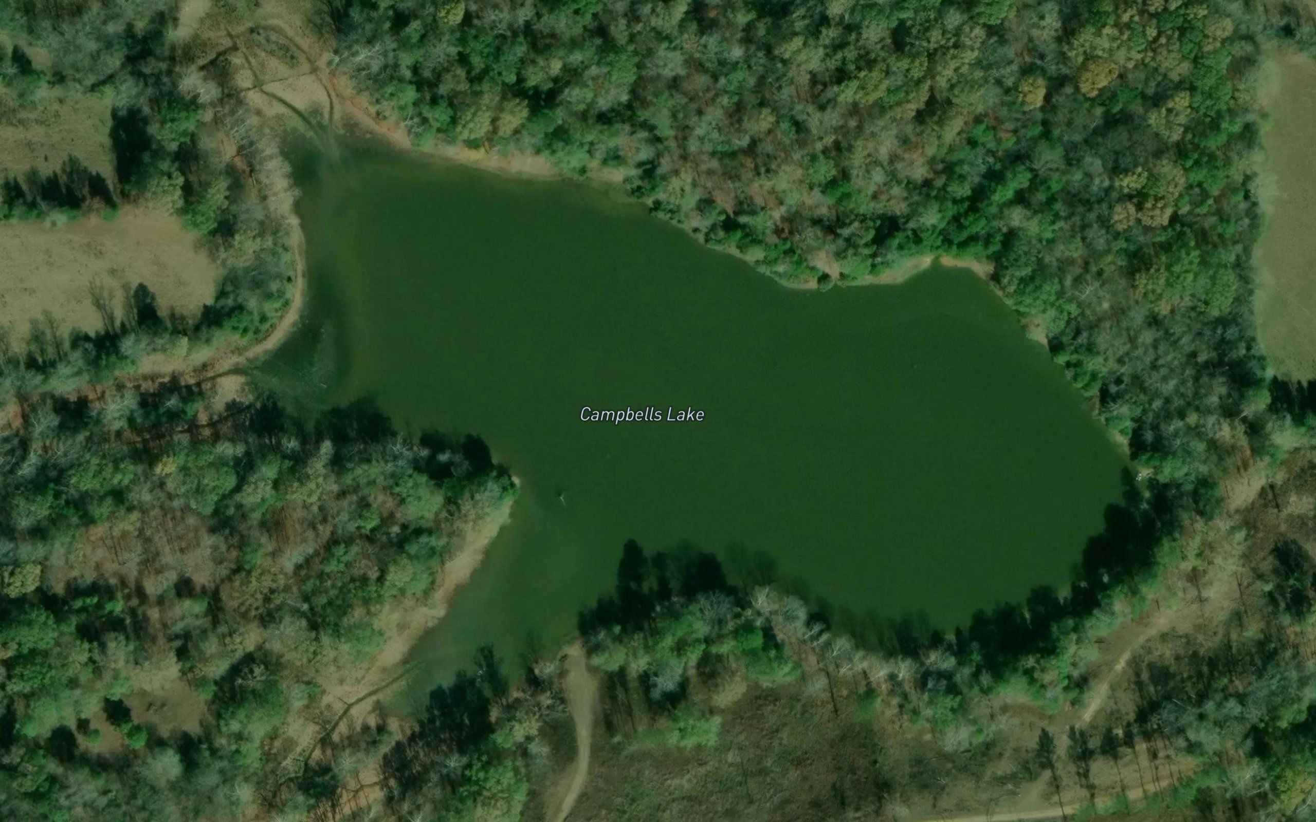 Campbells Lake