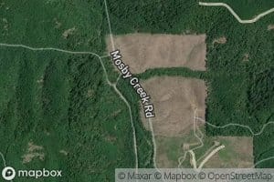 Shea Creek