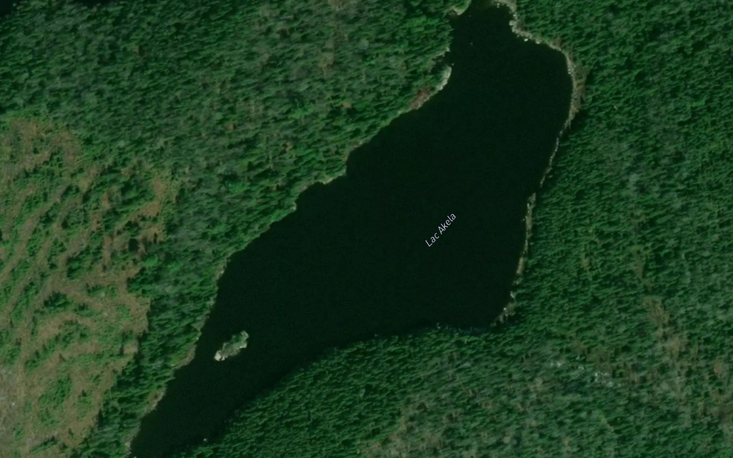 Lac Akela