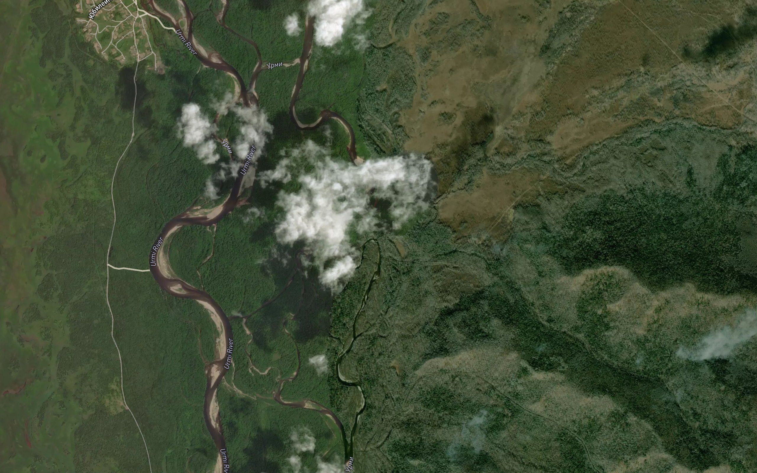 Sololi