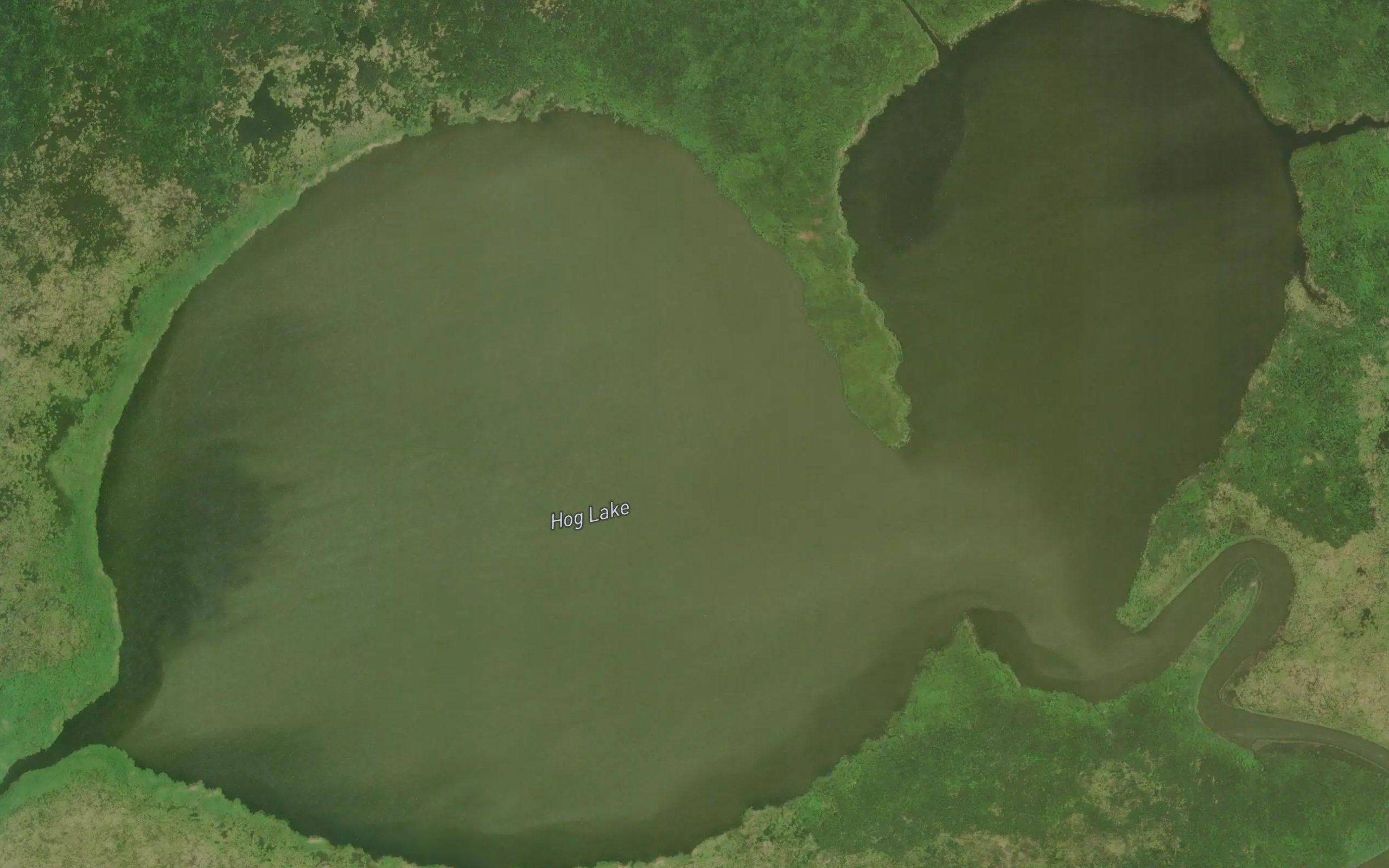 Hog Lake