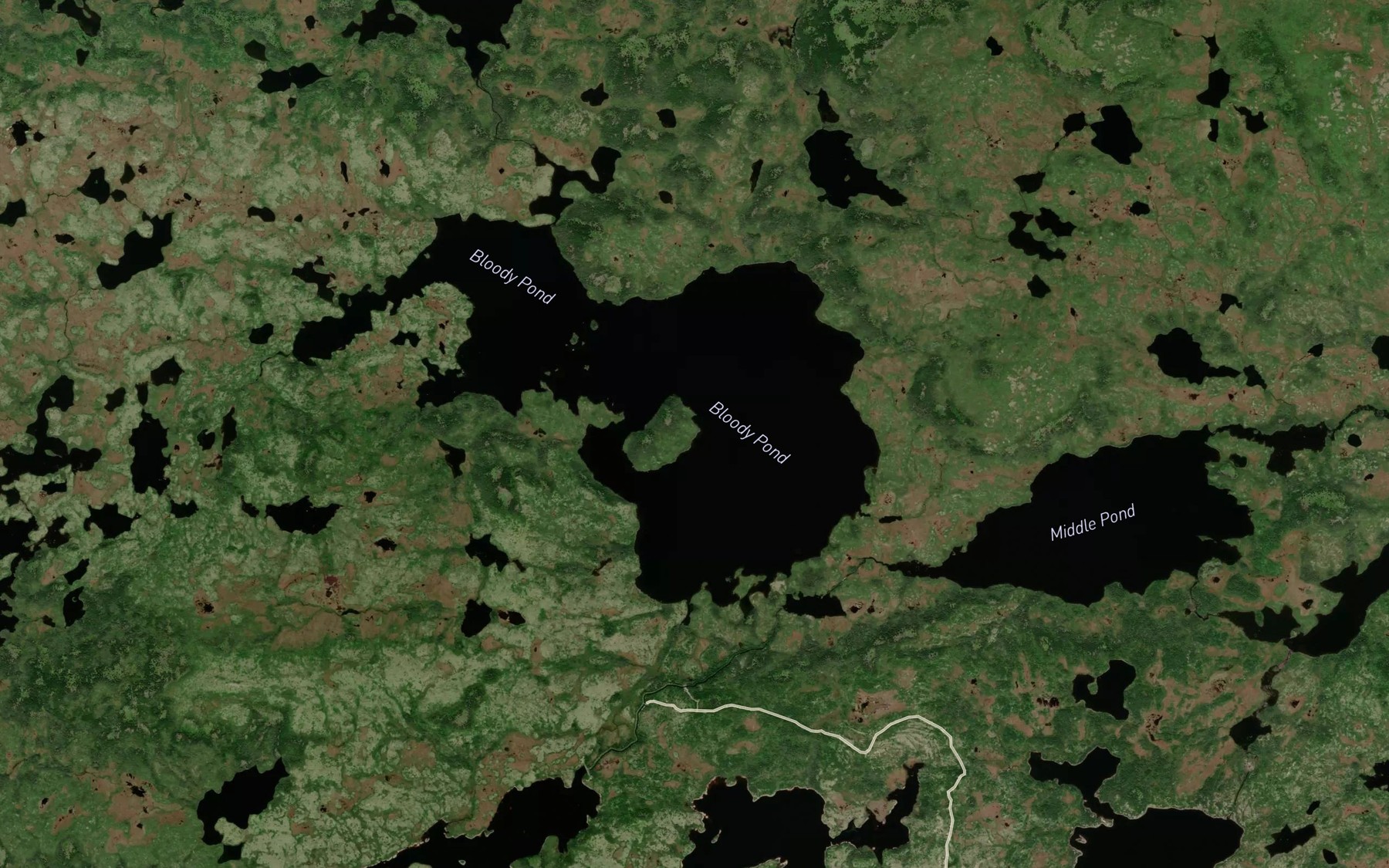Satellite map of the Bloody Pond