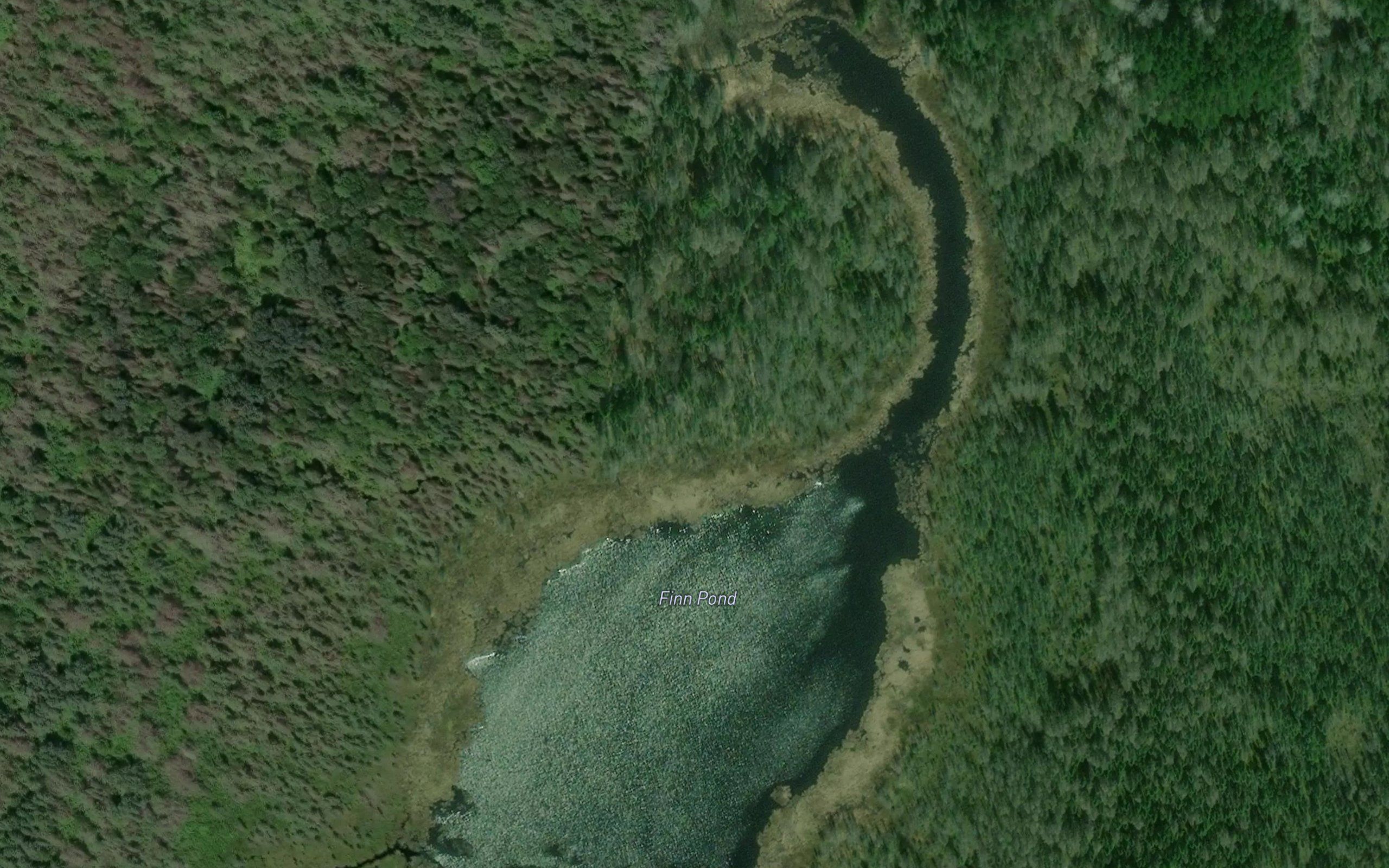 Finn Pond