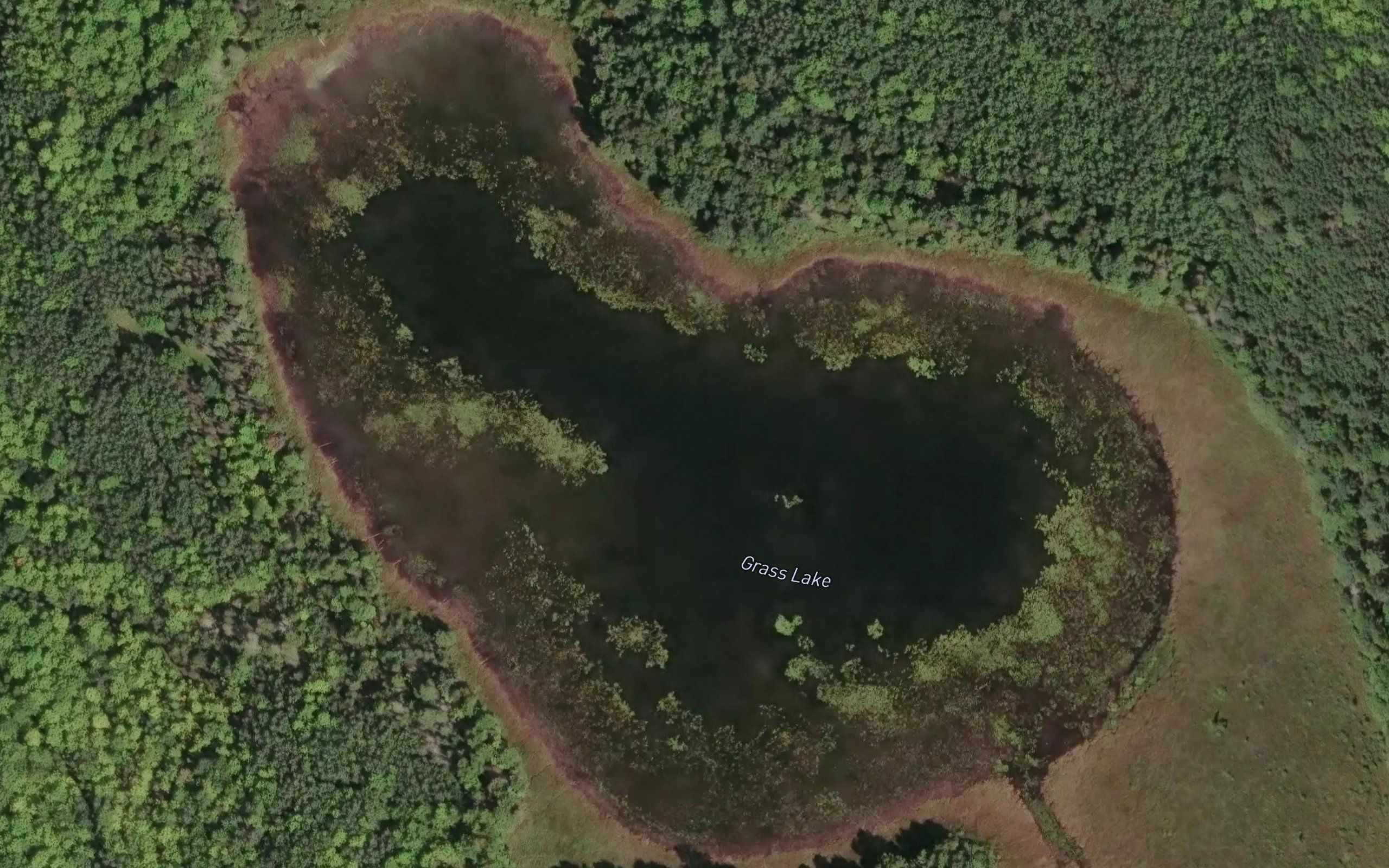 Grass Lake